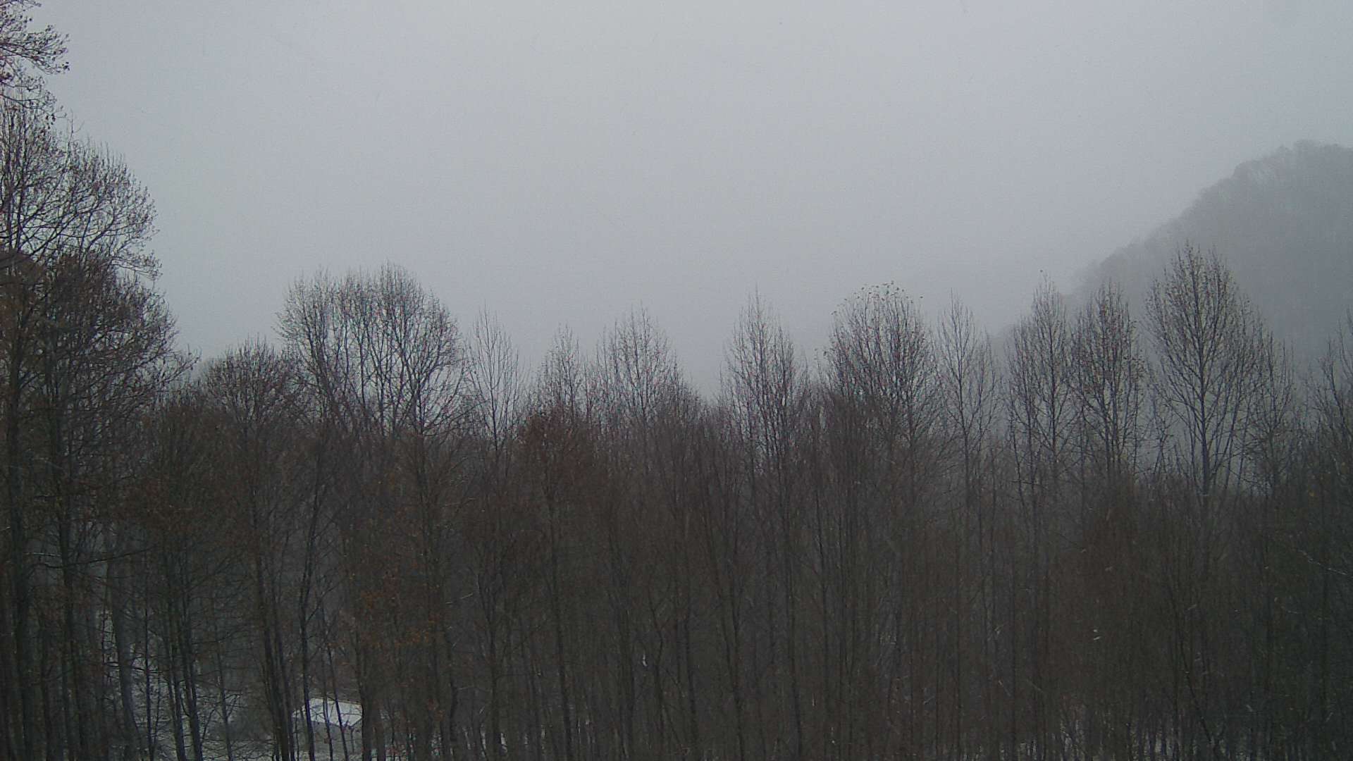 click for next image... slideshow image