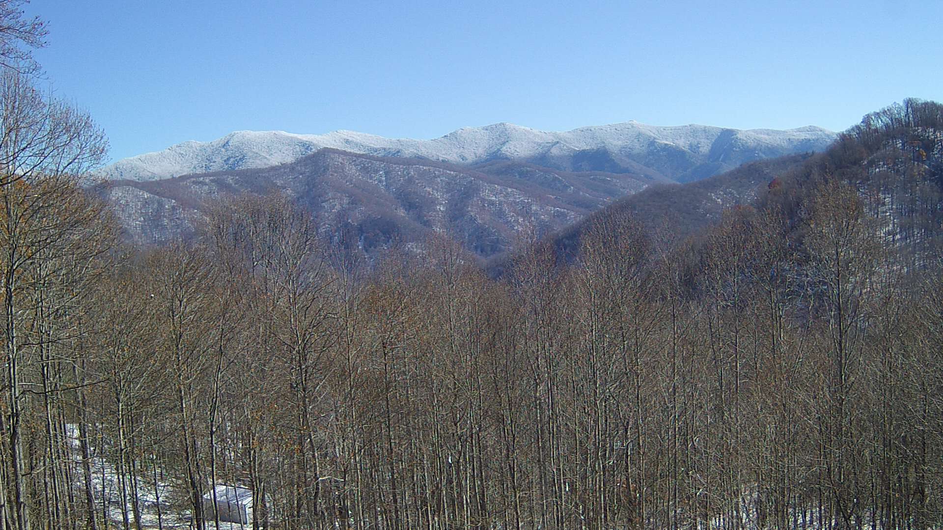 click for next image... slideshow image