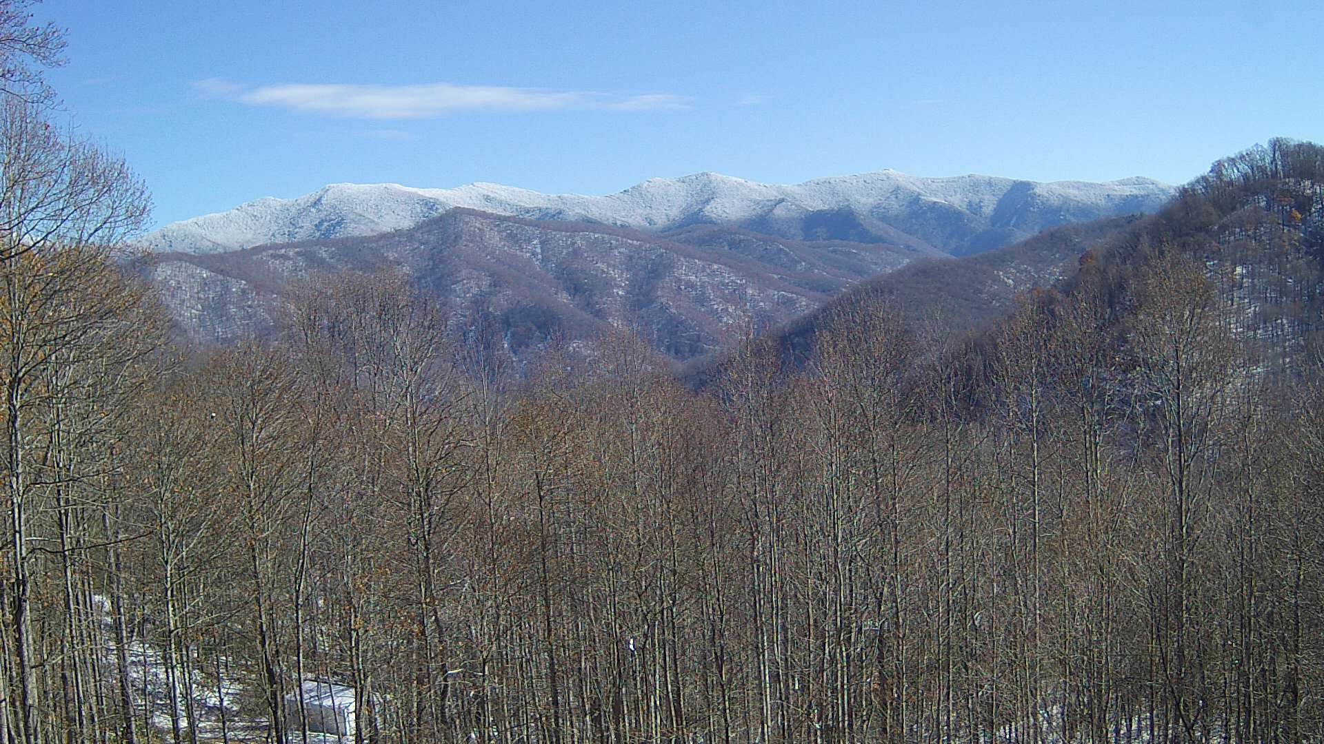 click for next image... slideshow image