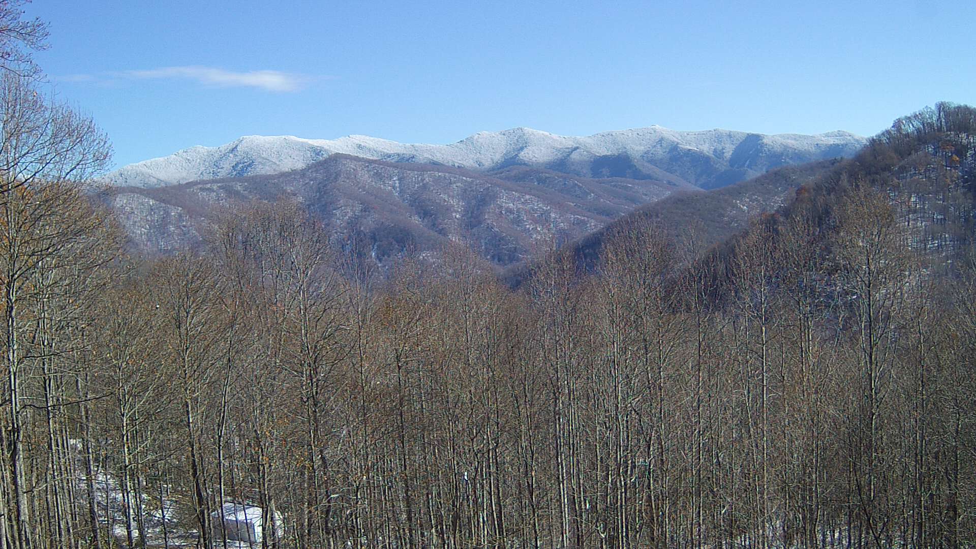 click for next image... slideshow image