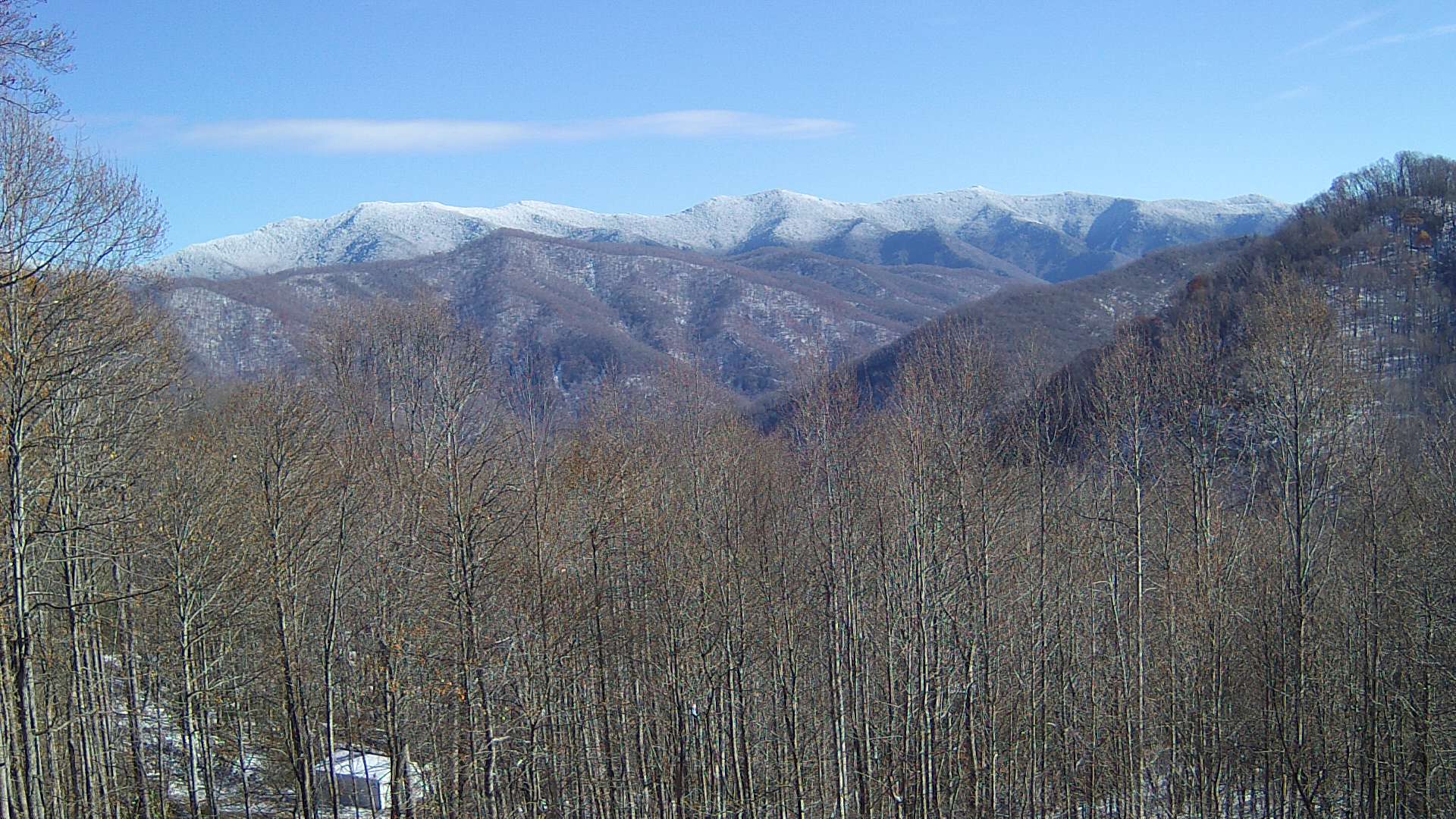 click for next image... slideshow image