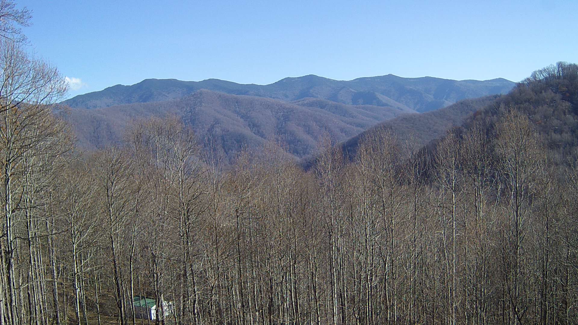 click for next image... slideshow image