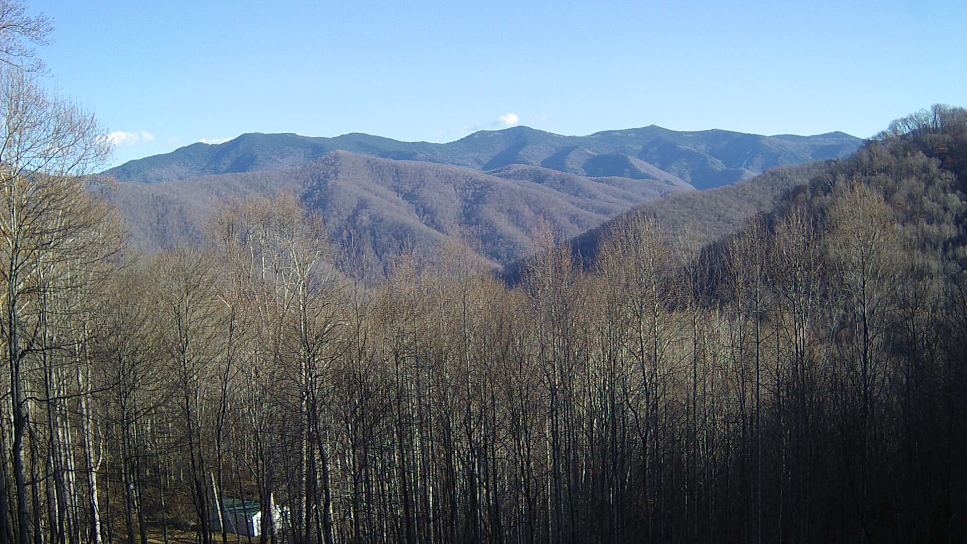 click for next image... slideshow image