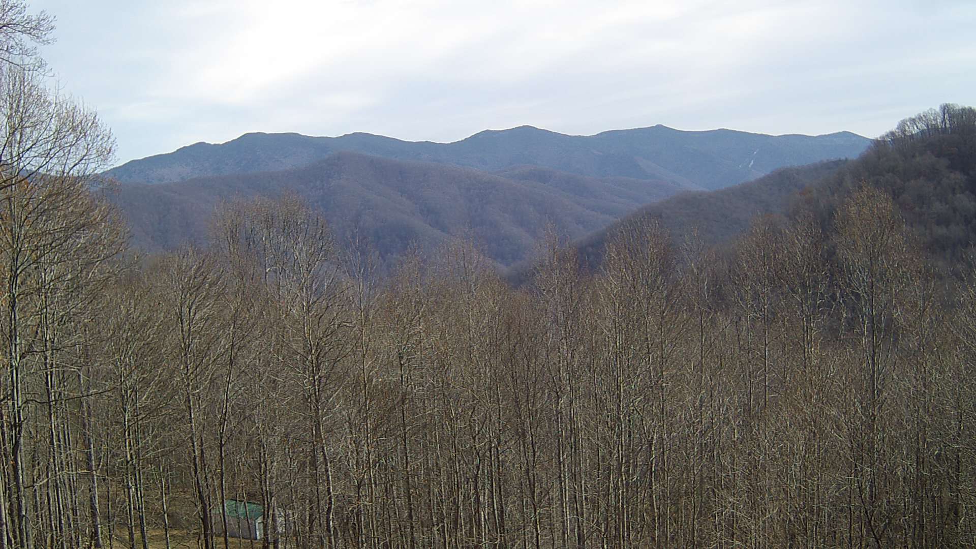 click for next image... slideshow image