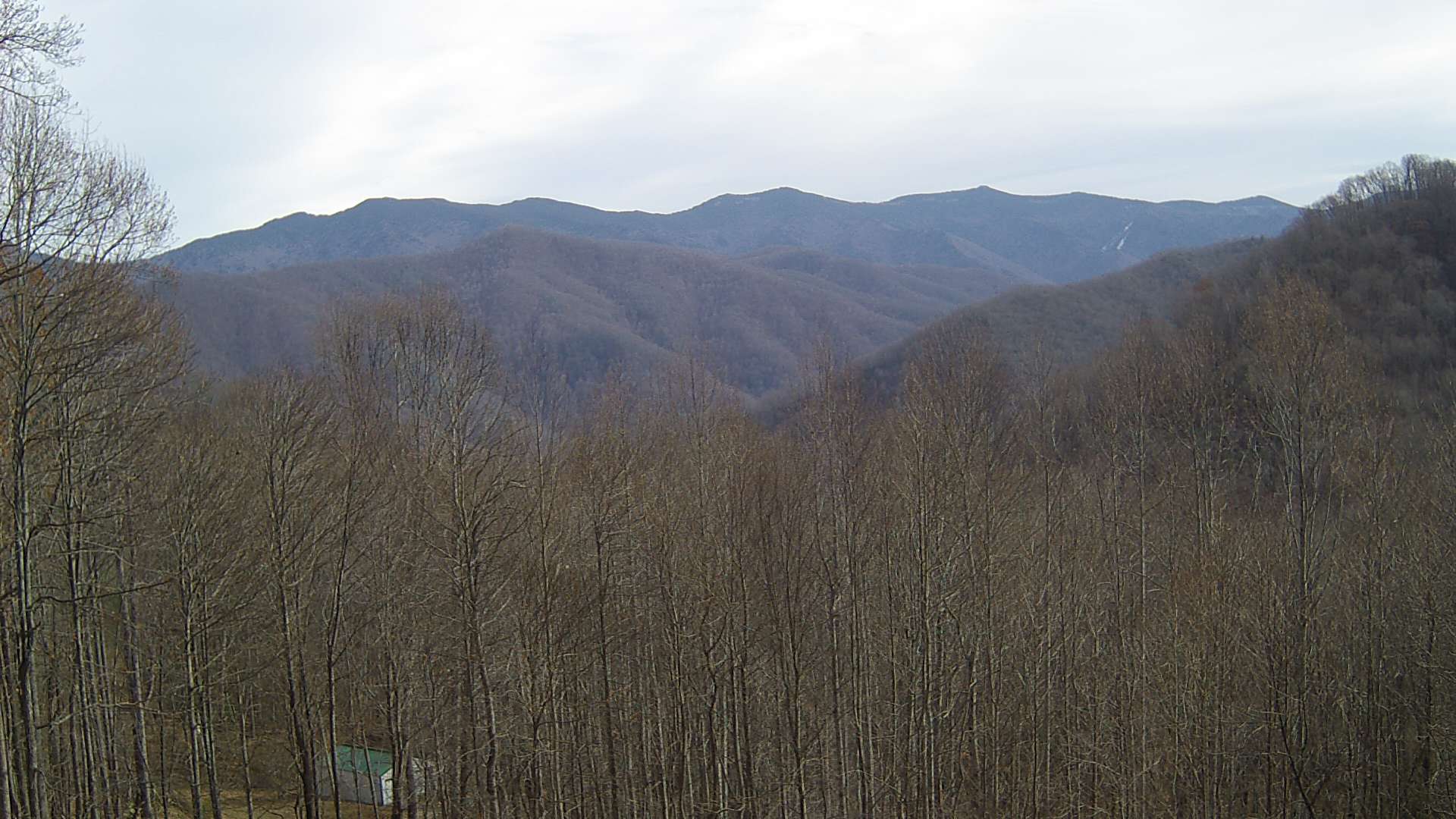 click for next image... slideshow image