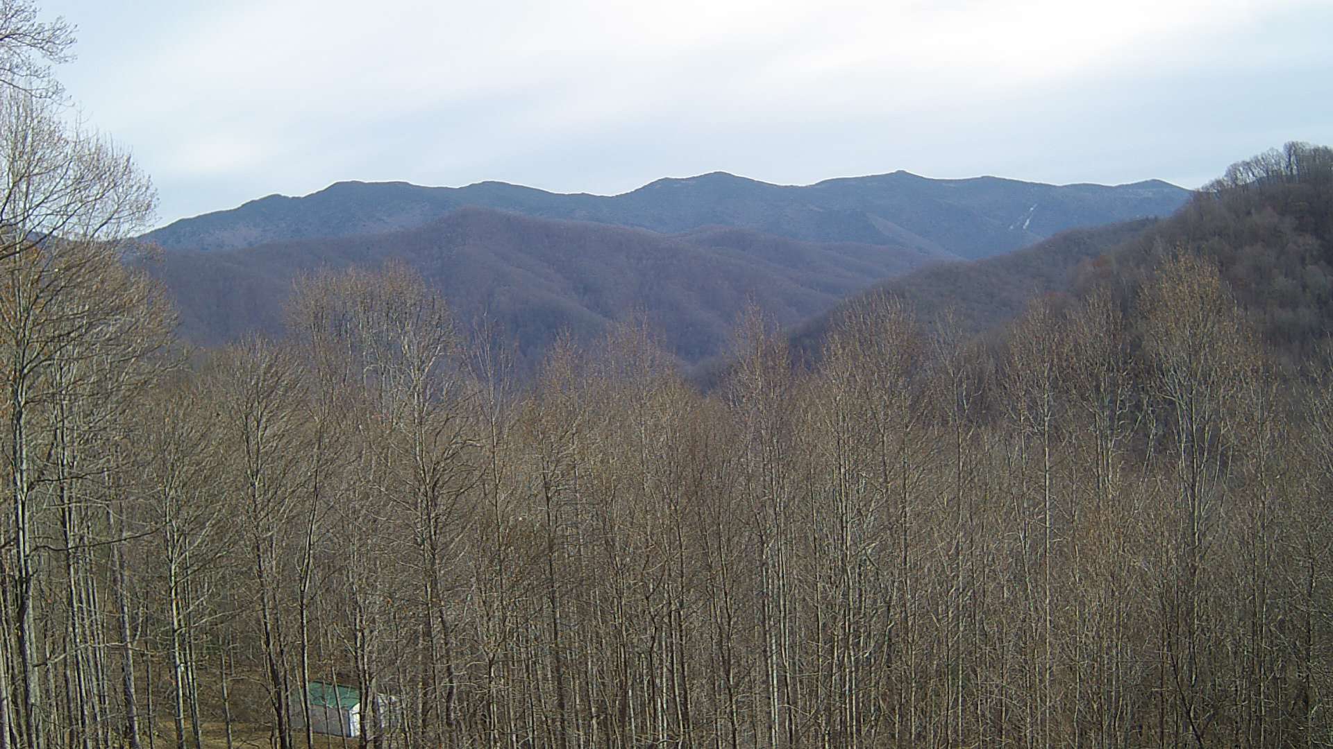 click for next image... slideshow image