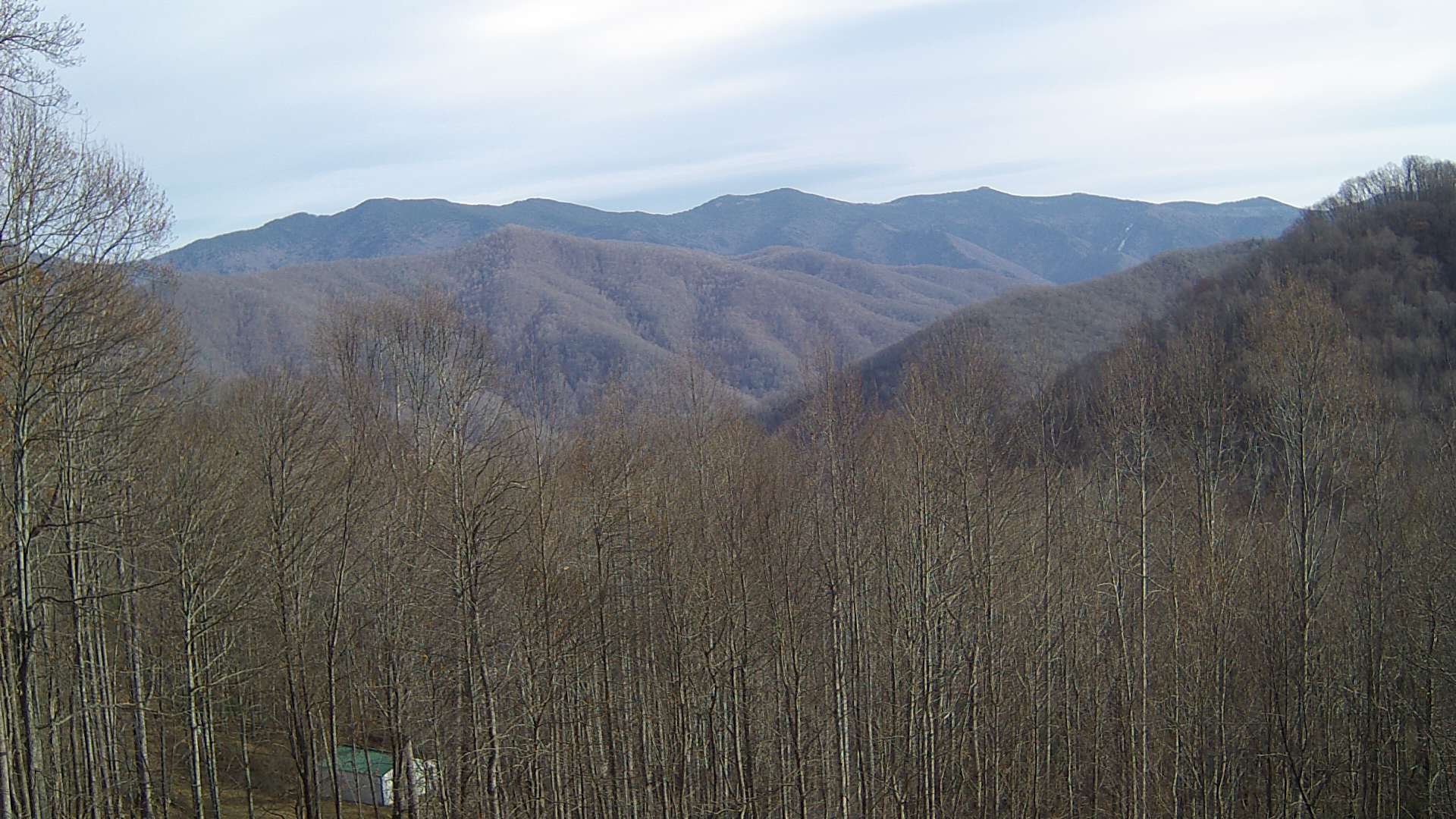 click for next image... slideshow image