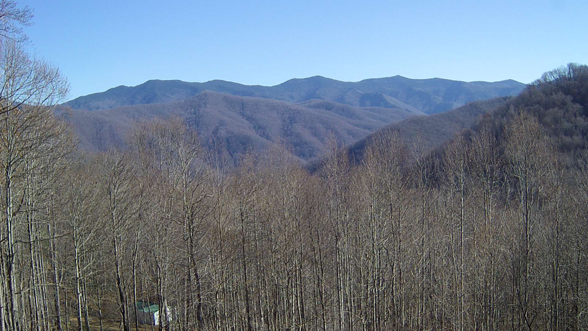 click for next image... slideshow image