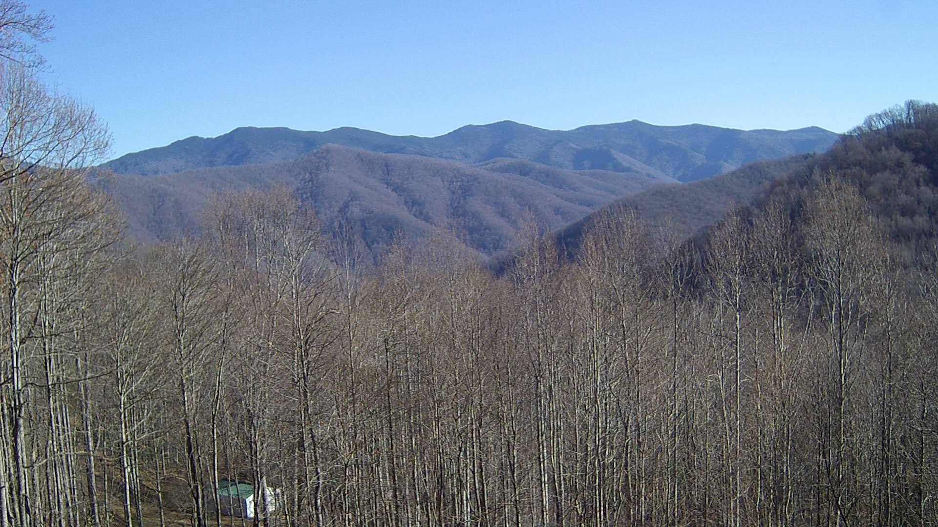 click for next image... slideshow image