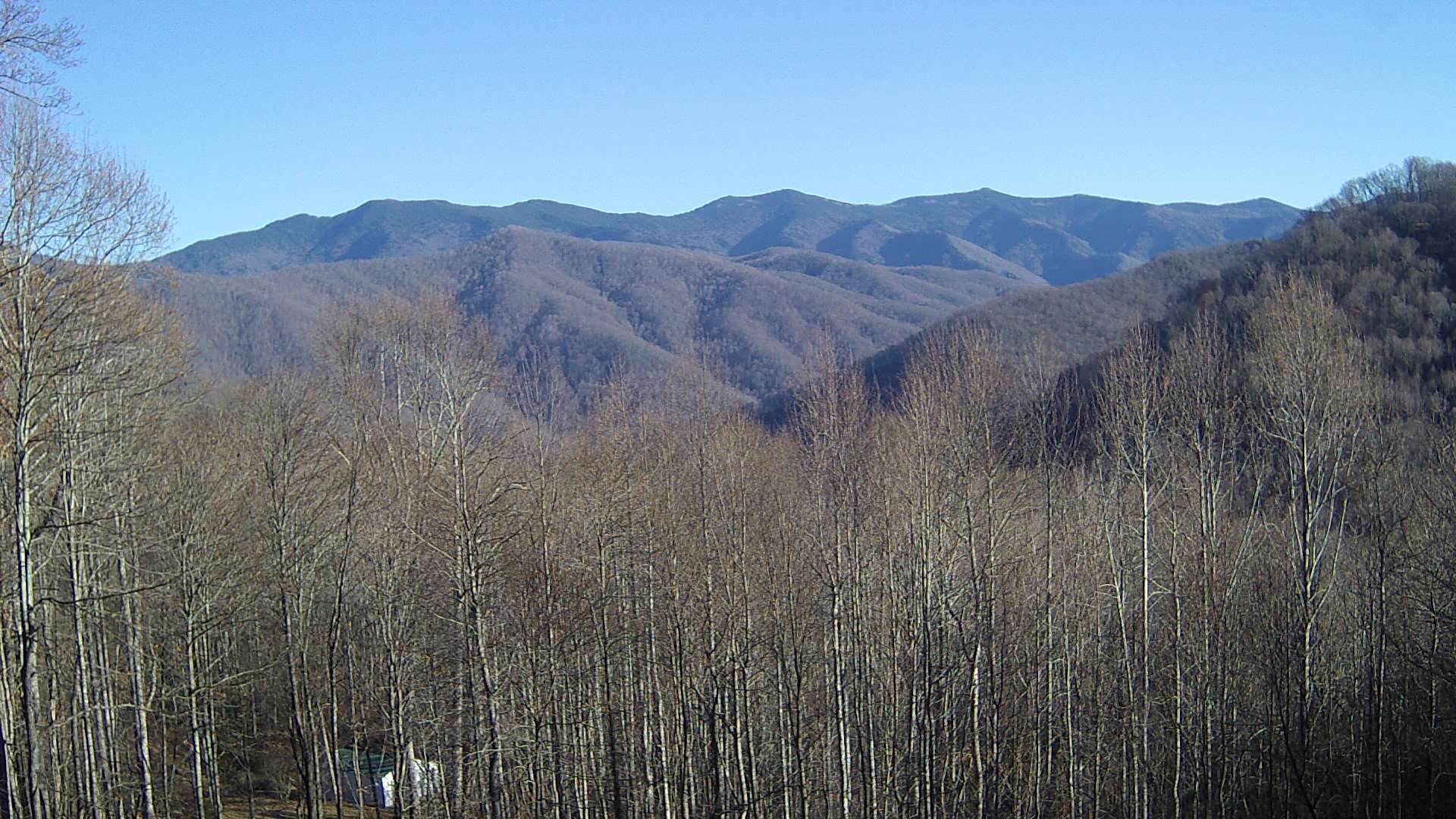 click for next image... slideshow image