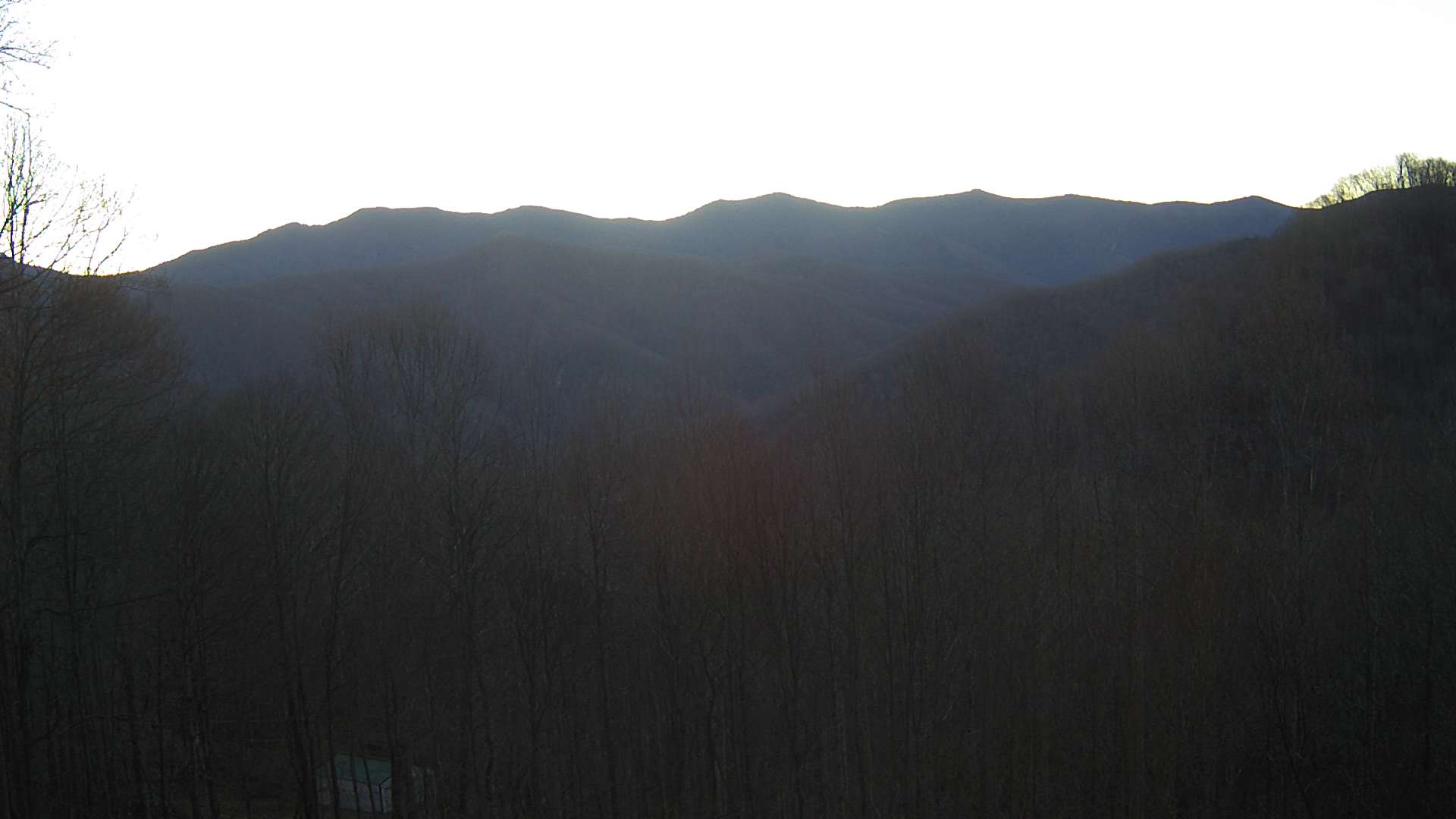 click for next image... slideshow image