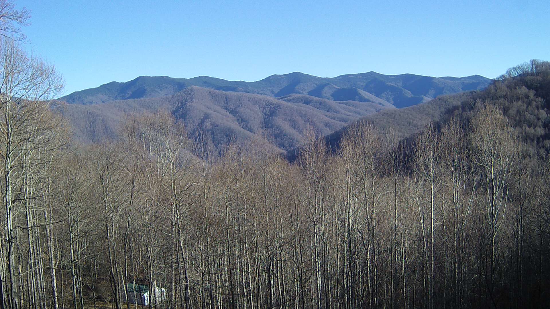 click for next image... slideshow image