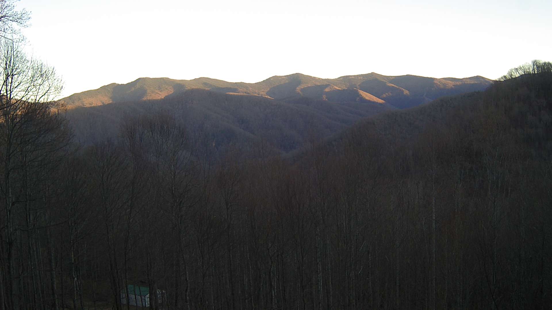 click for next image... slideshow image