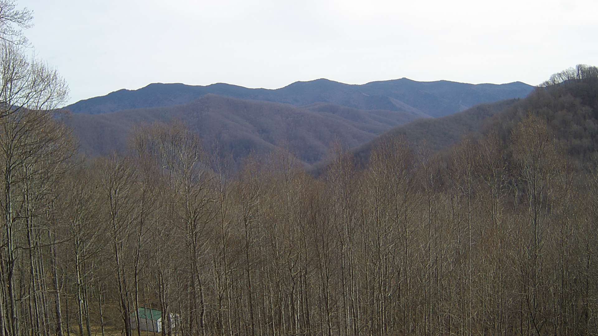 click for next image... slideshow image