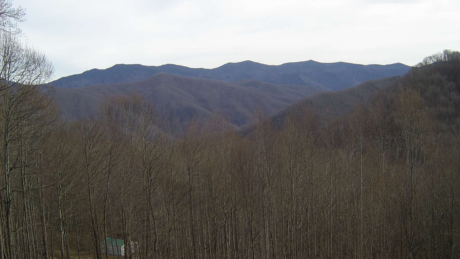 click for next image... slideshow image