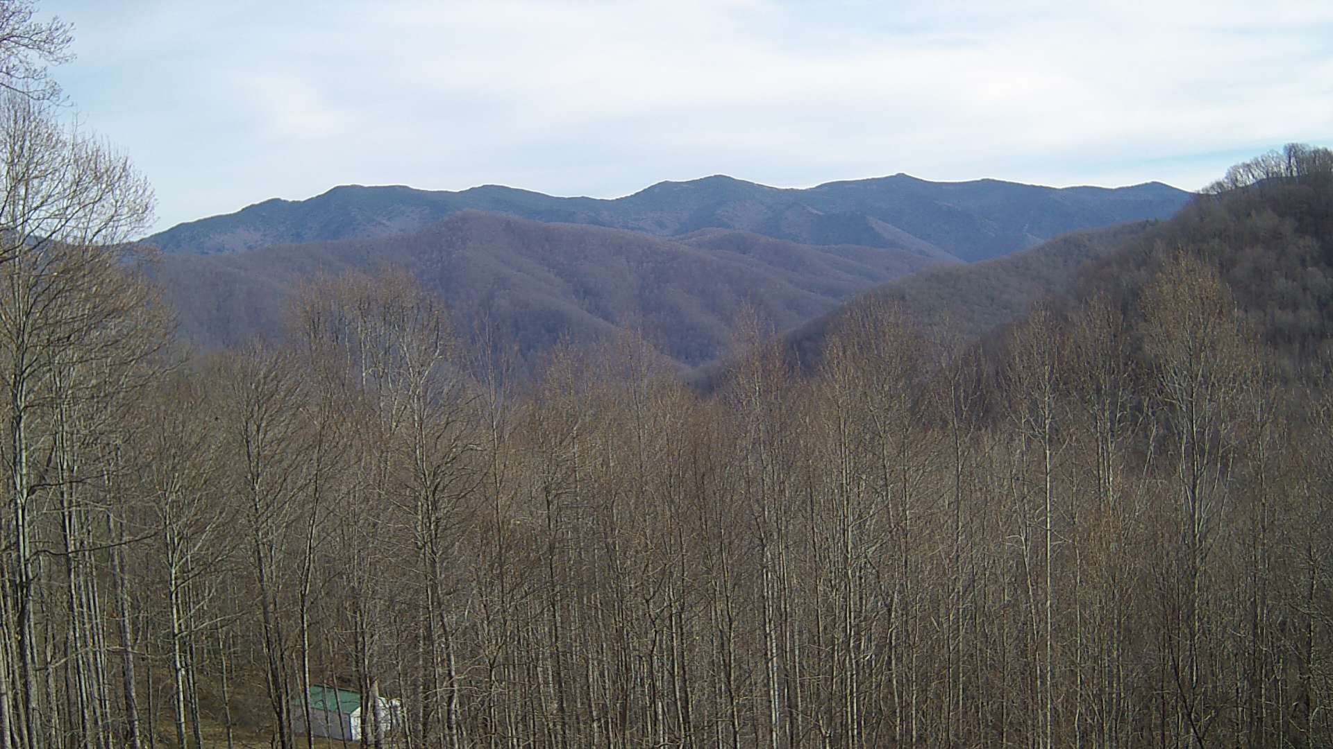 click for next image... slideshow image