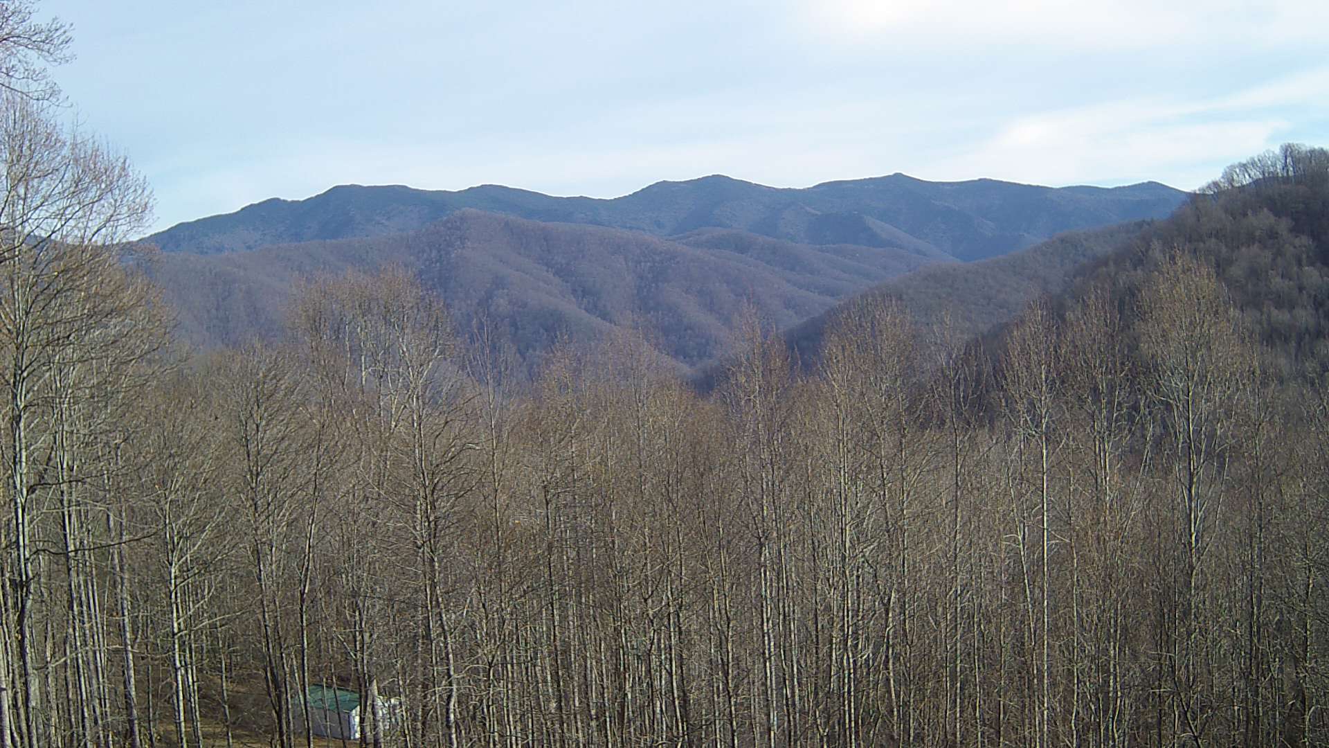 click for next image... slideshow image