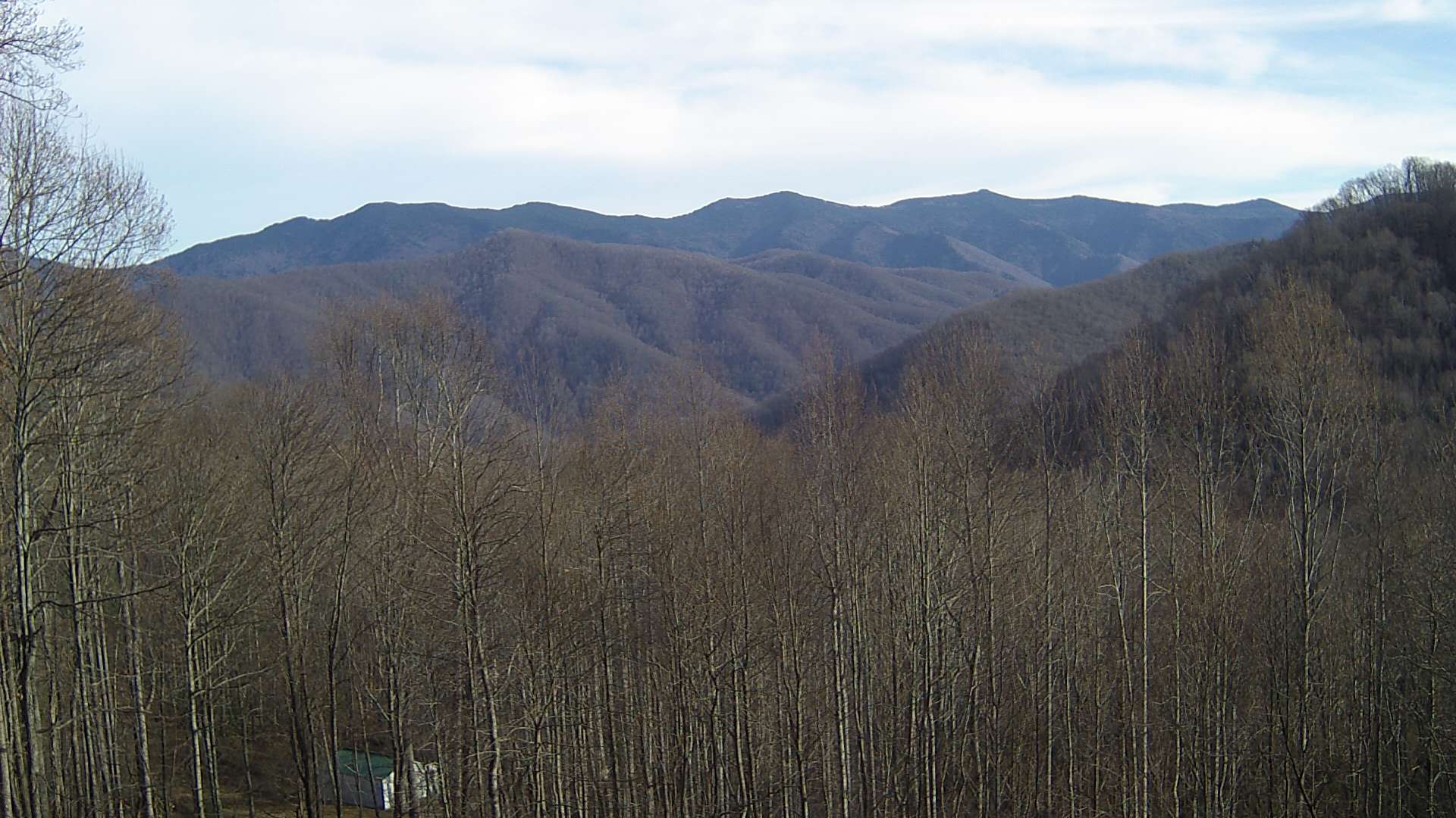 click for next image... slideshow image