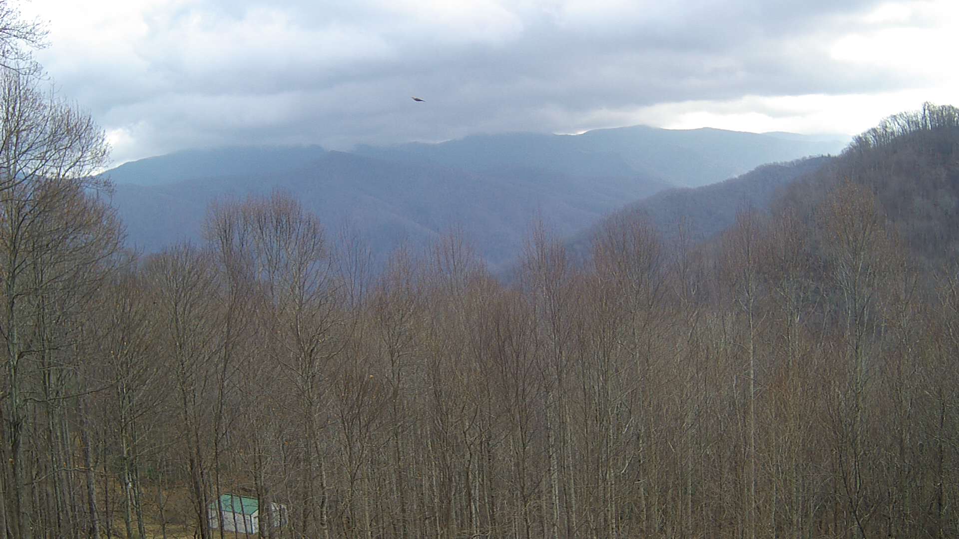 click for next image... slideshow image