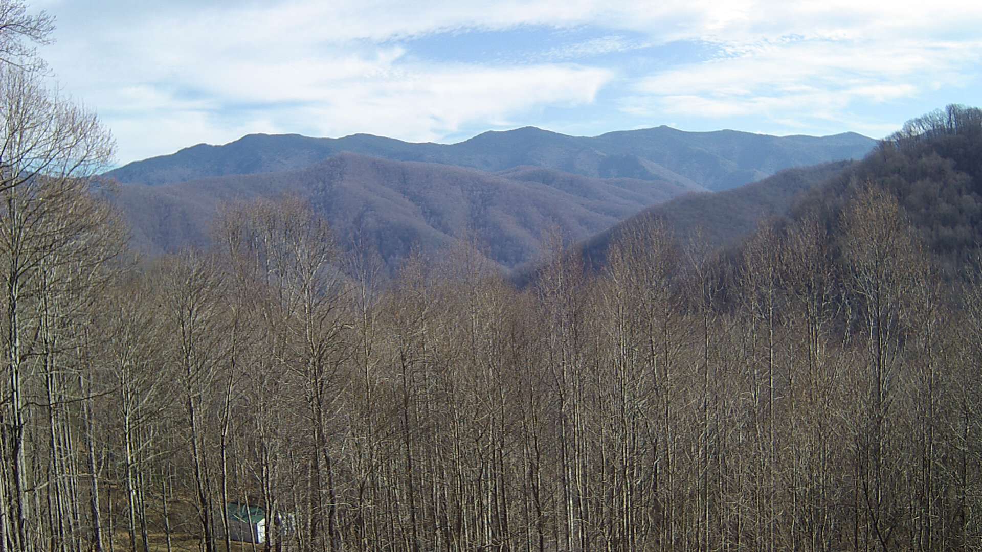 click for next image... slideshow image