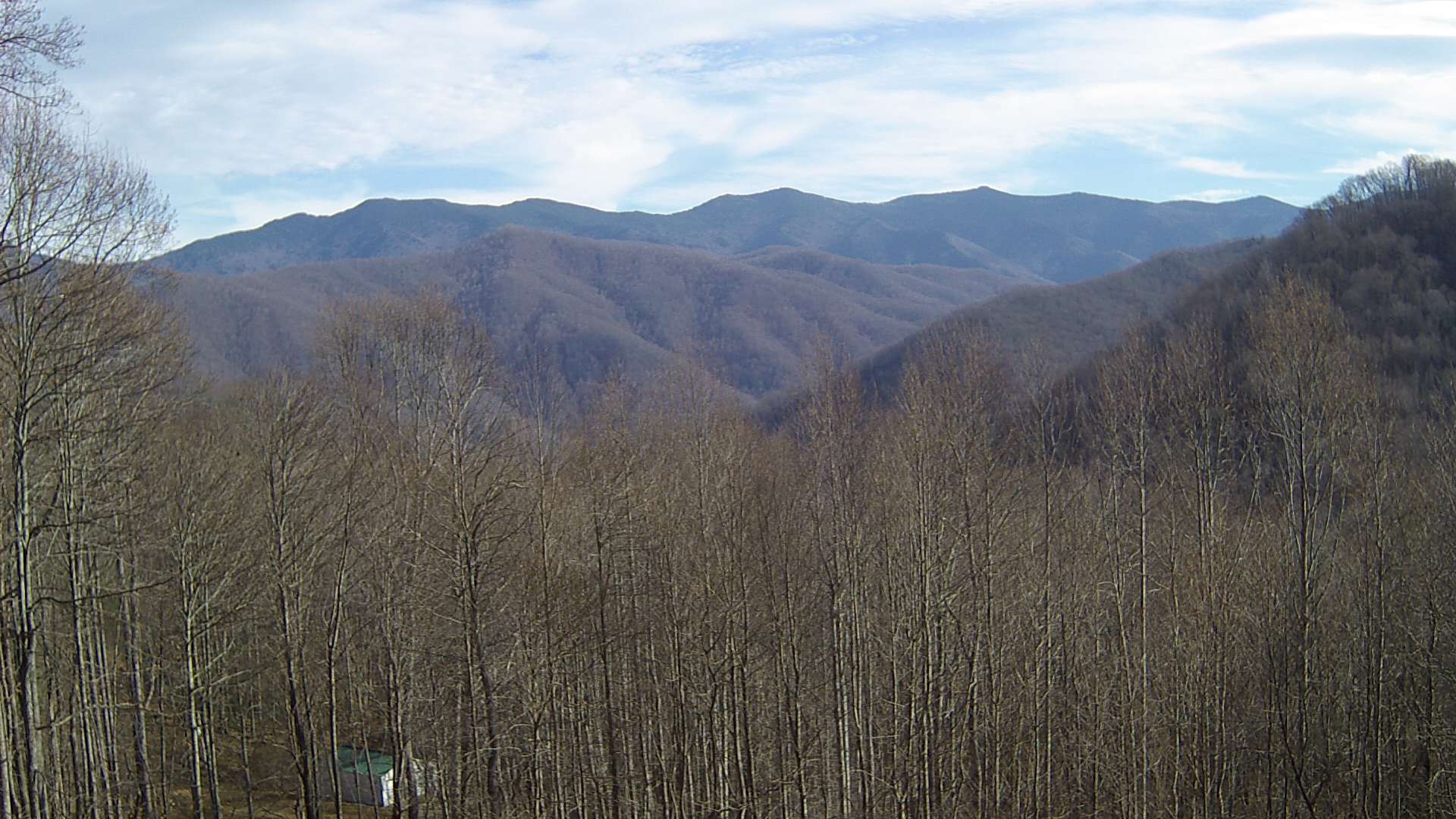 click for next image... slideshow image