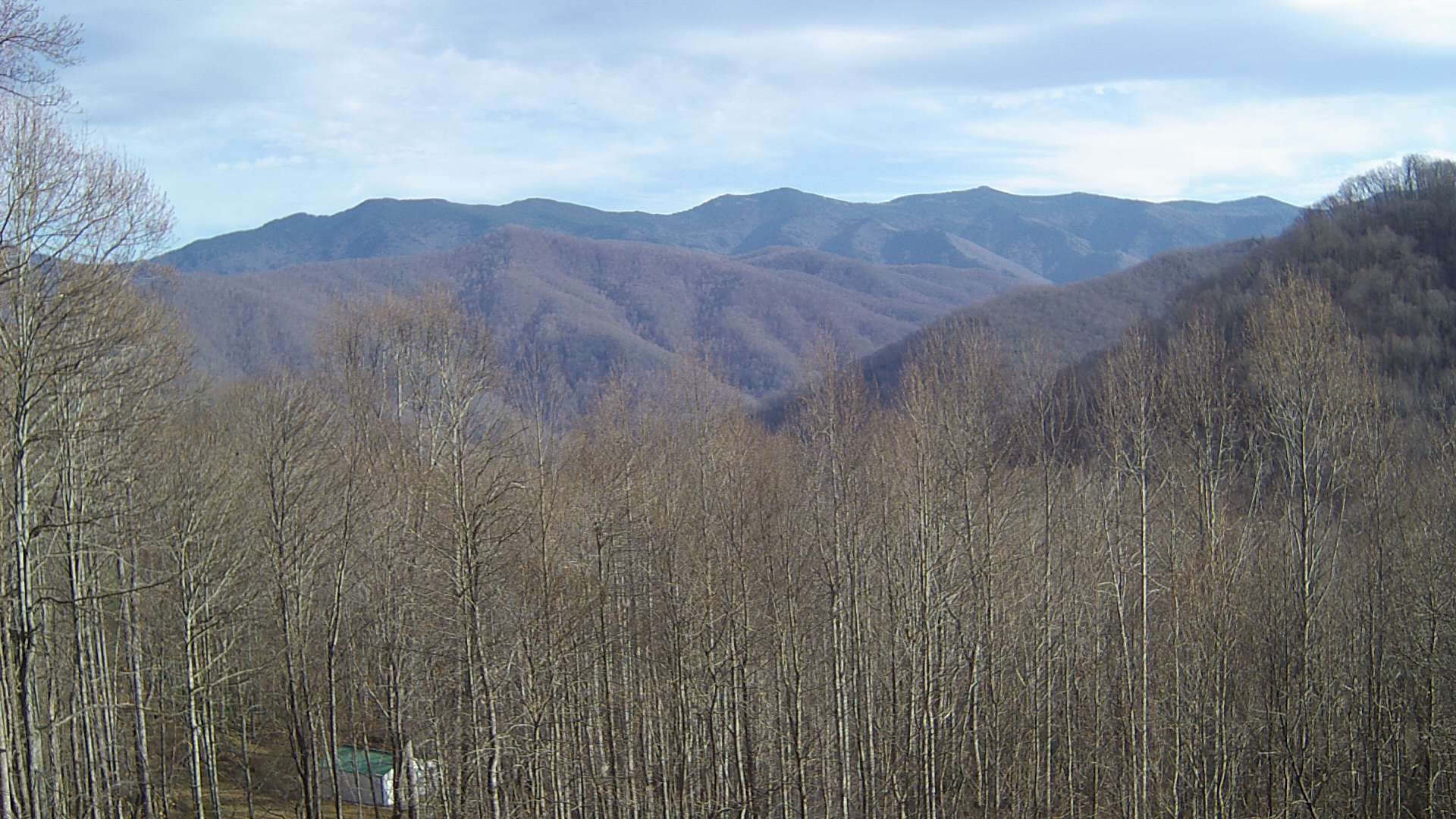 click for next image... slideshow image