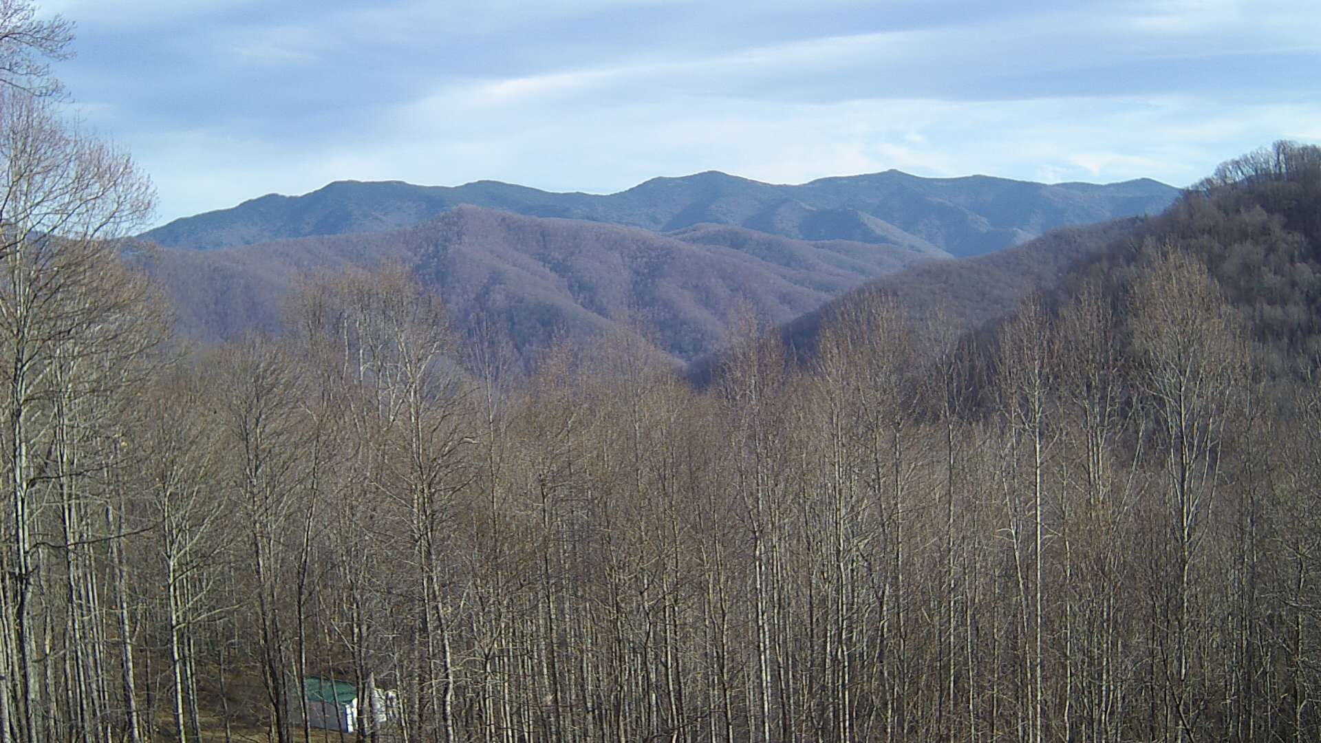 click for next image... slideshow image