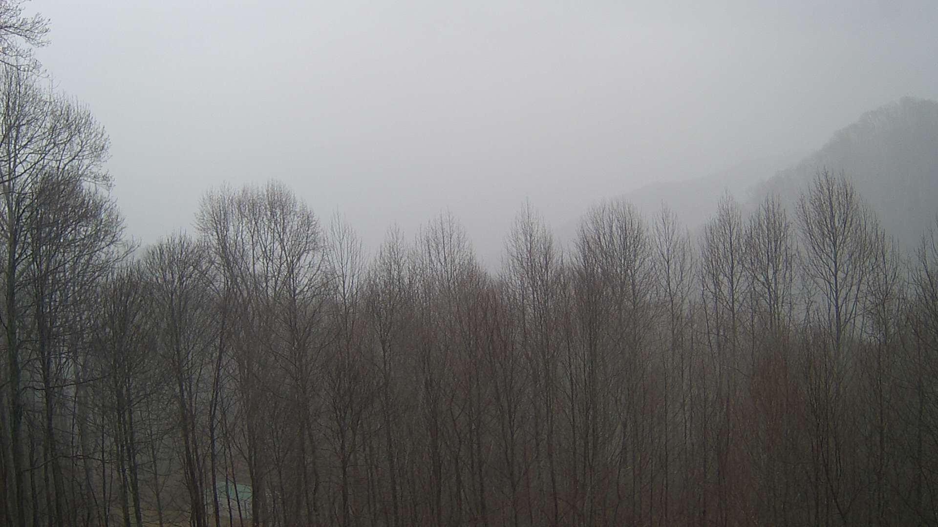 click for next image... slideshow image