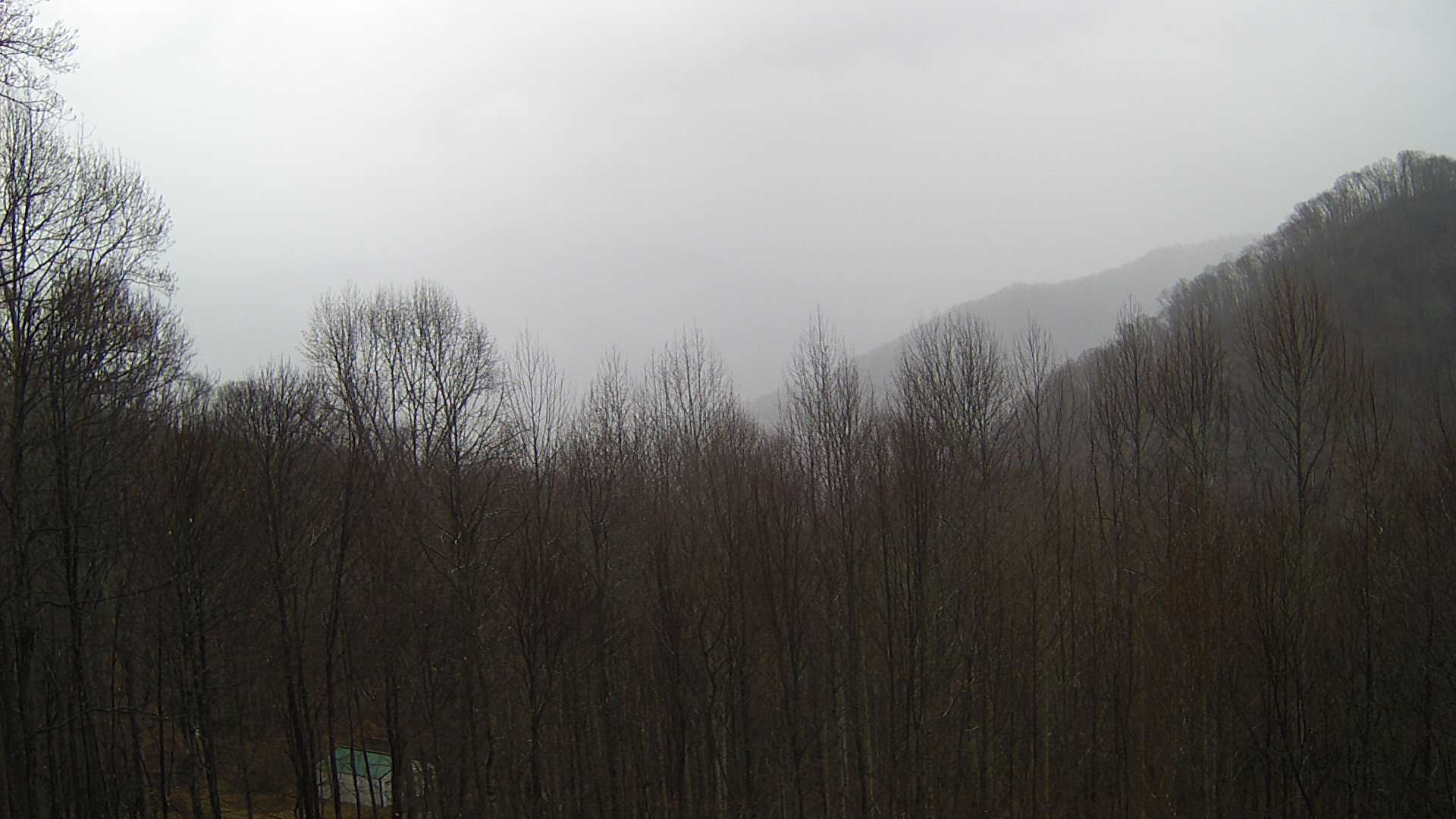 click for next image... slideshow image