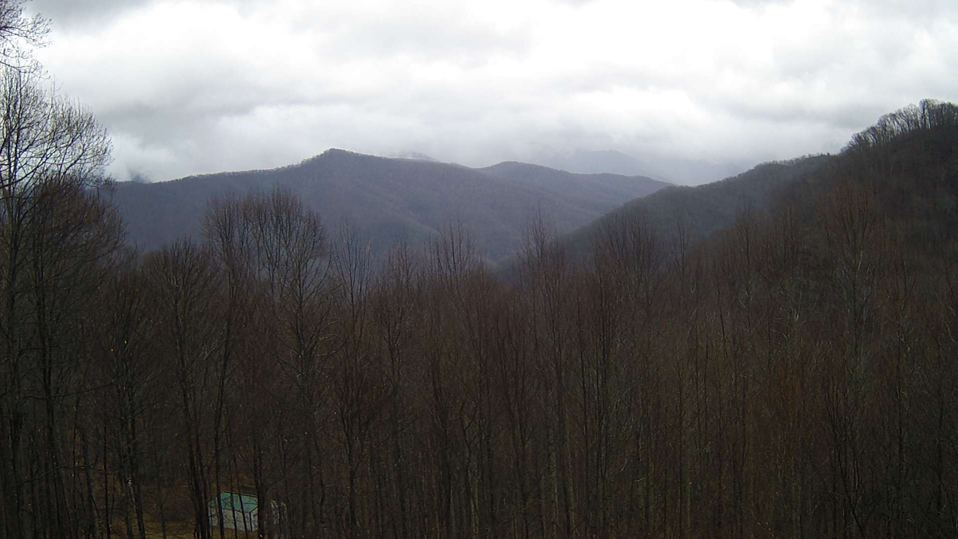 click for next image... slideshow image