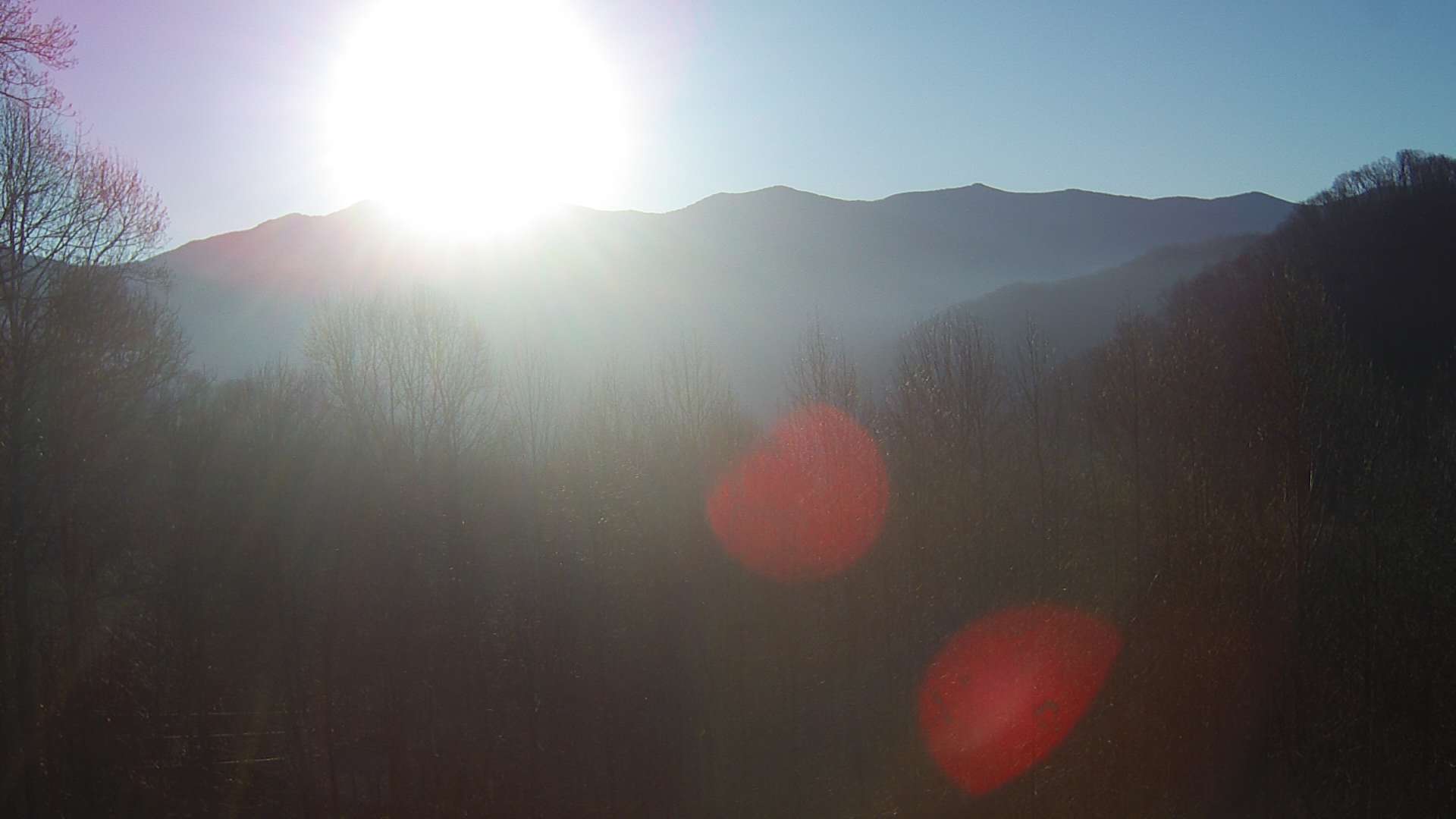 click for next image... slideshow image