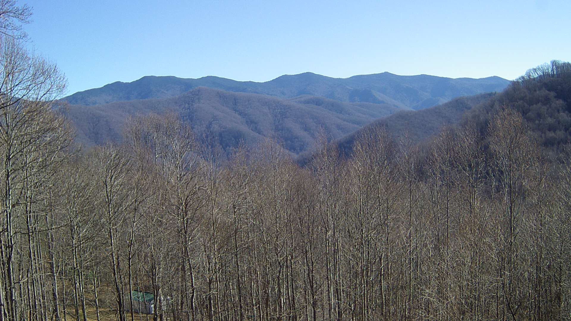 click for next image... slideshow image