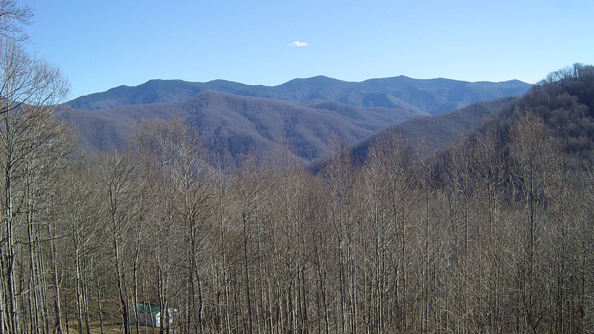 click for next image... slideshow image