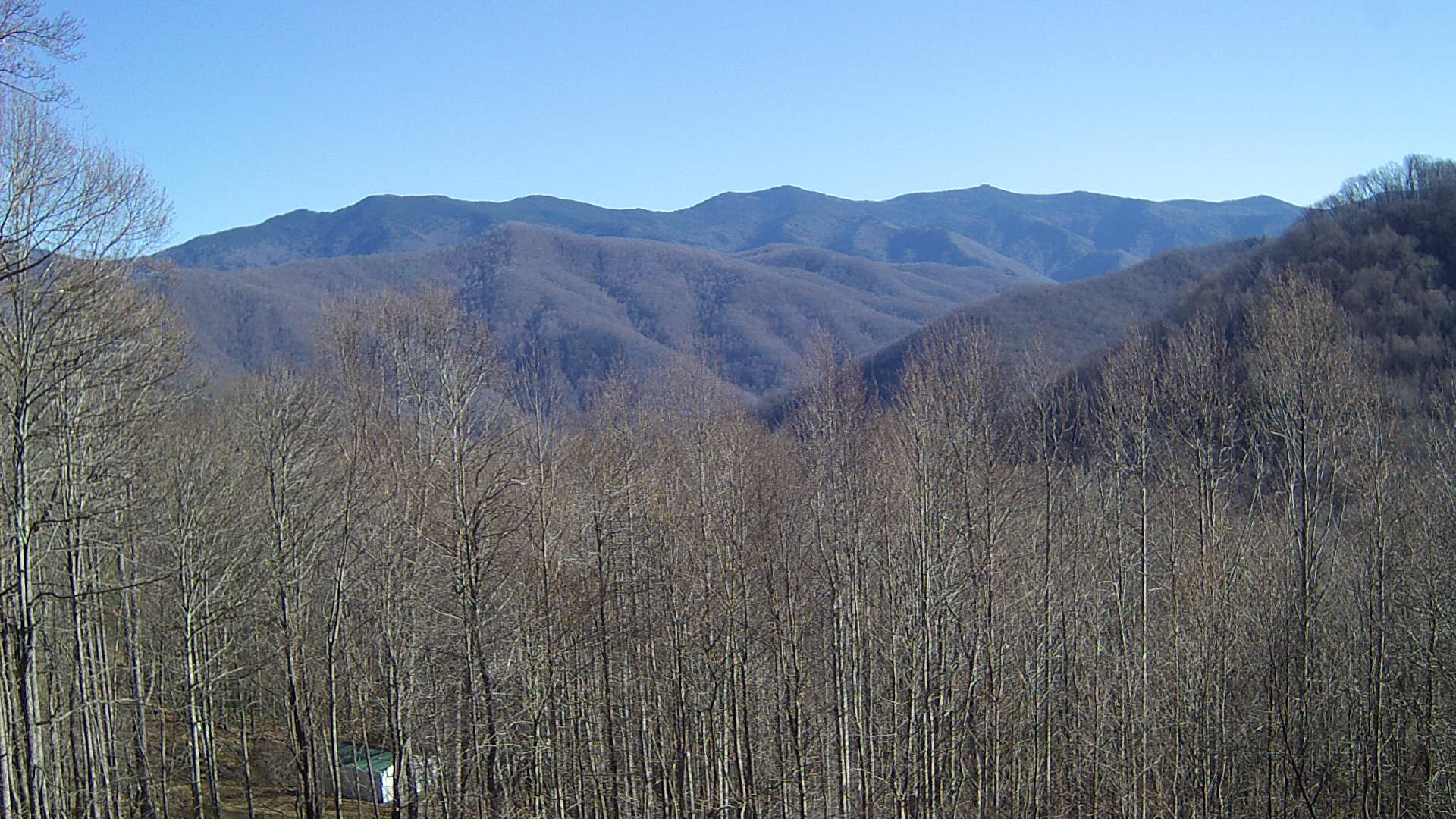 click for next image... slideshow image