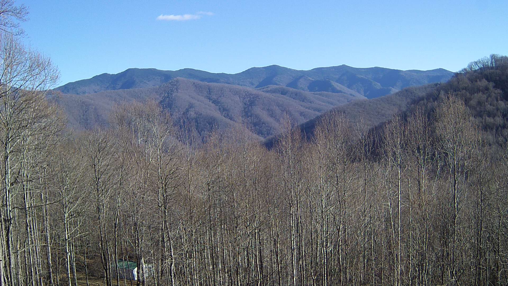 click for next image... slideshow image