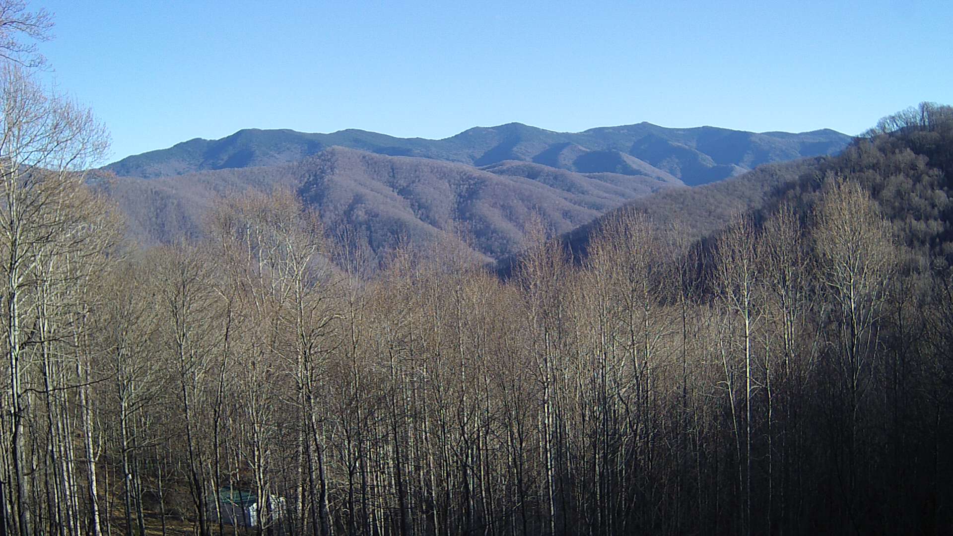 click for next image... slideshow image