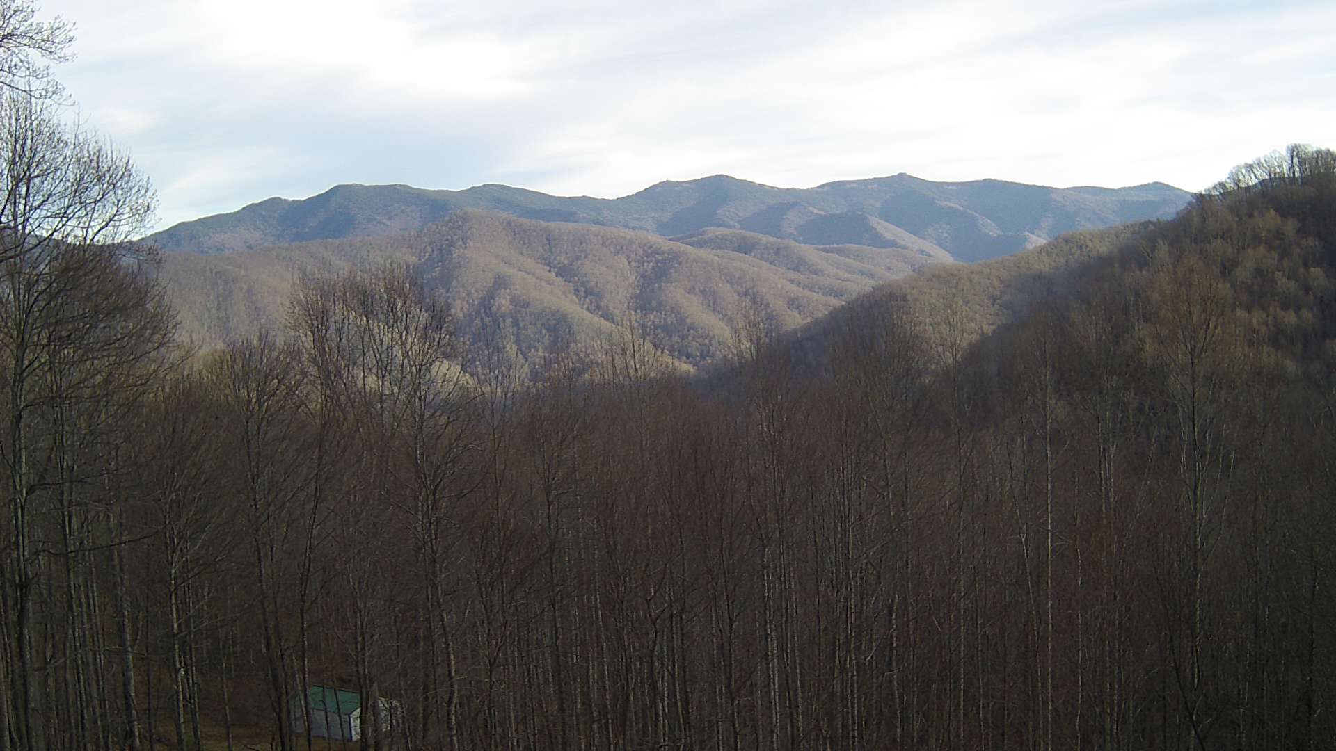 click for next image... slideshow image