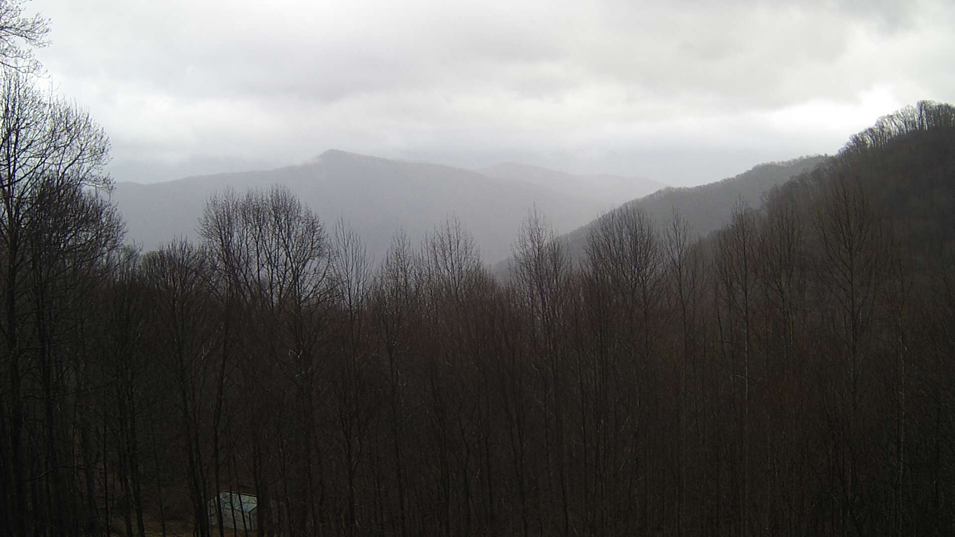 click for next image... slideshow image