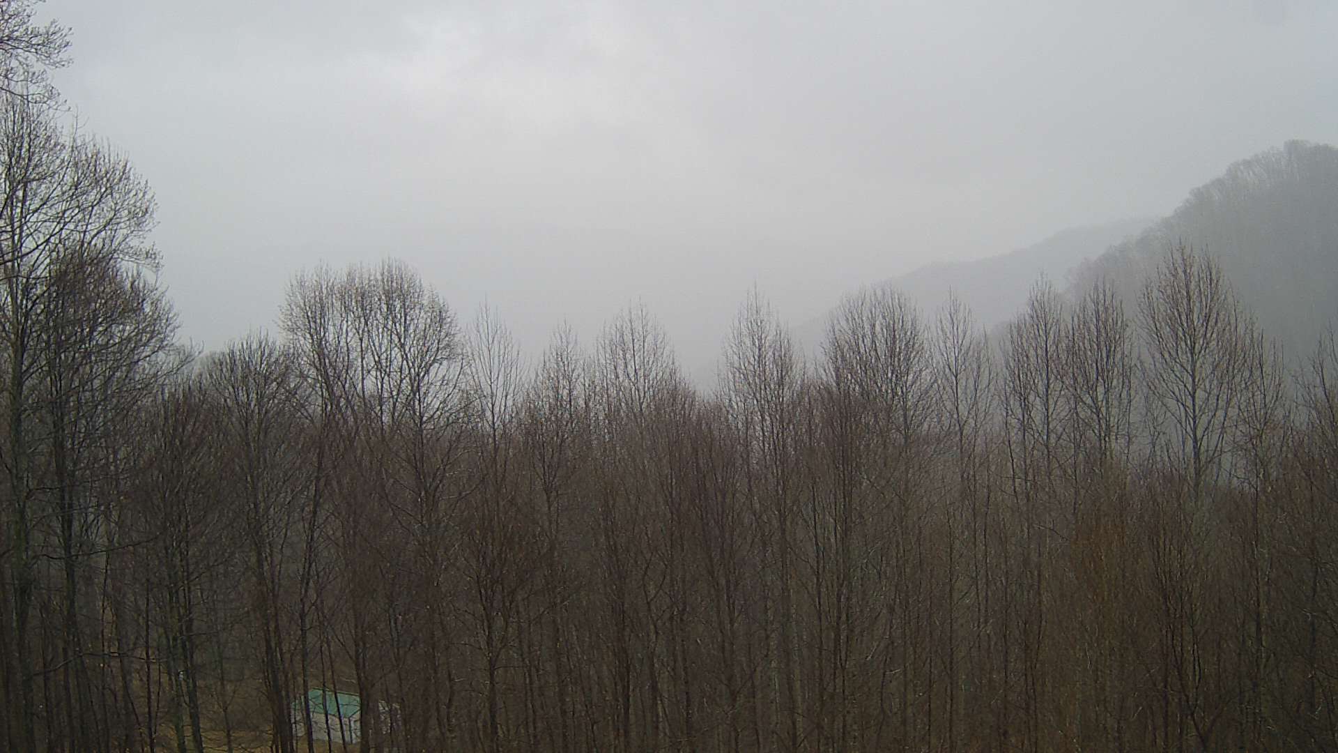 click for next image... slideshow image