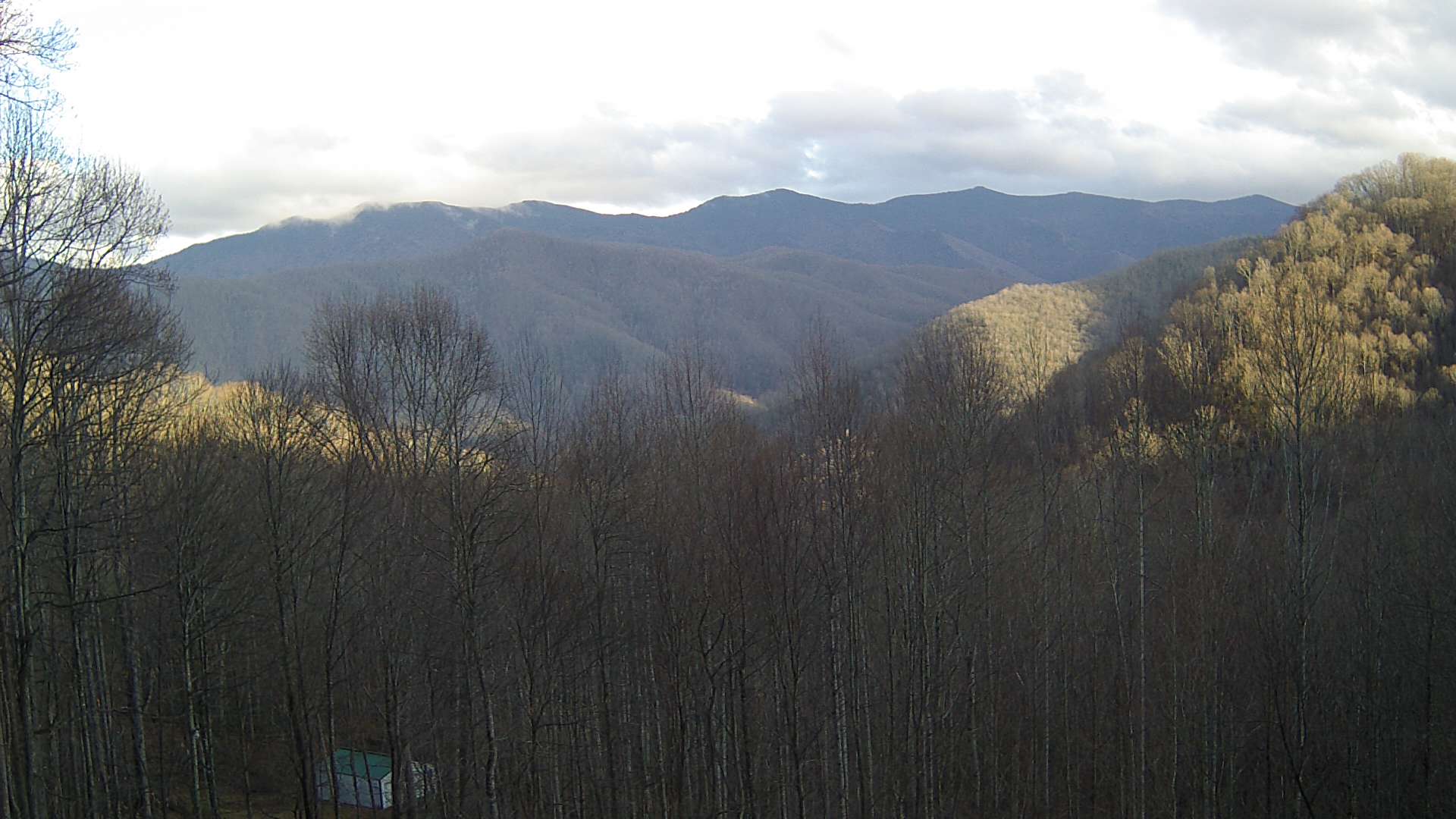 click for next image... slideshow image