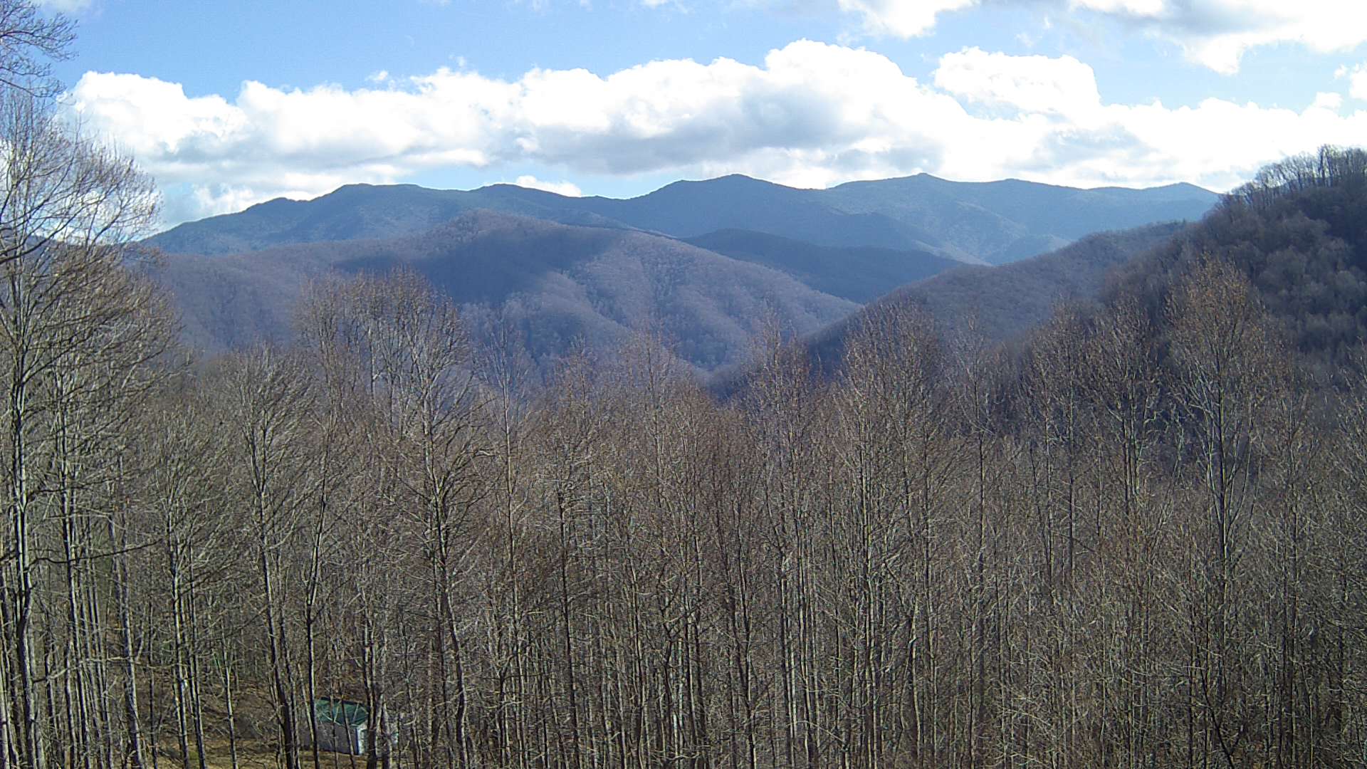 click for next image... slideshow image