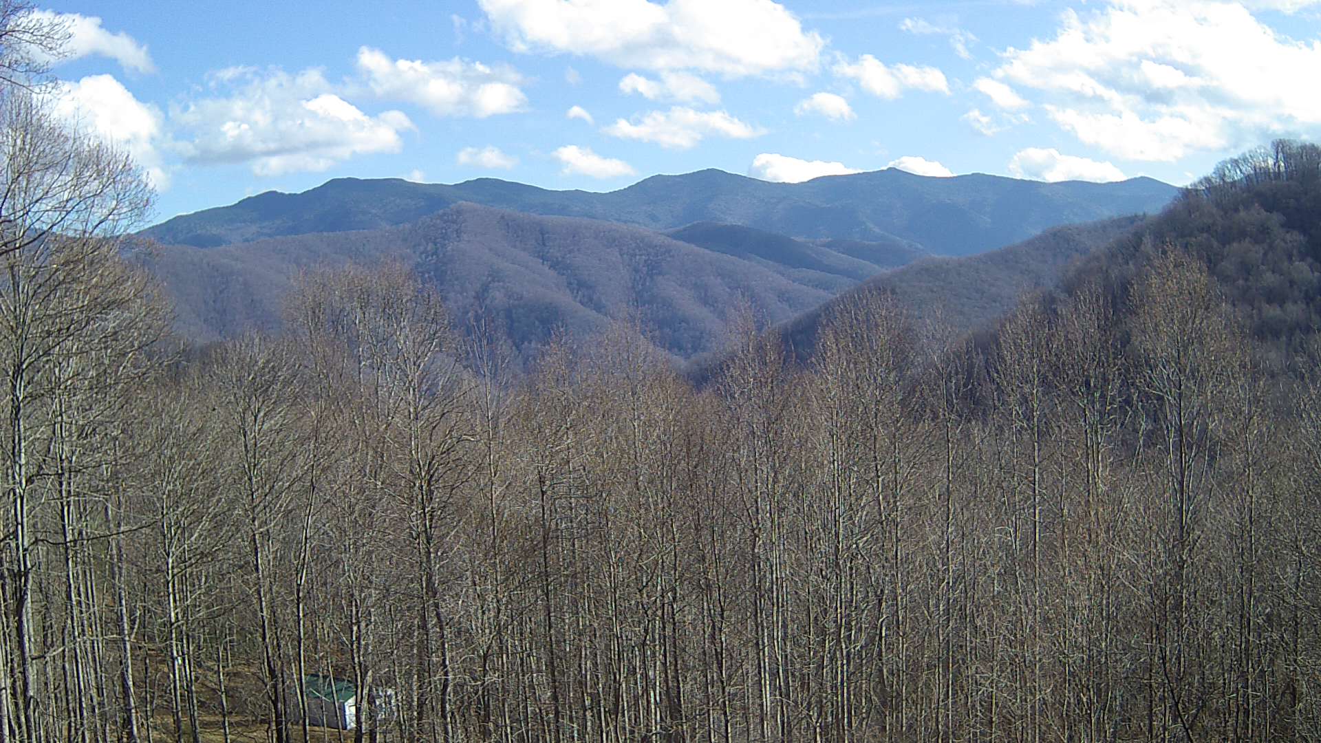 click for next image... slideshow image