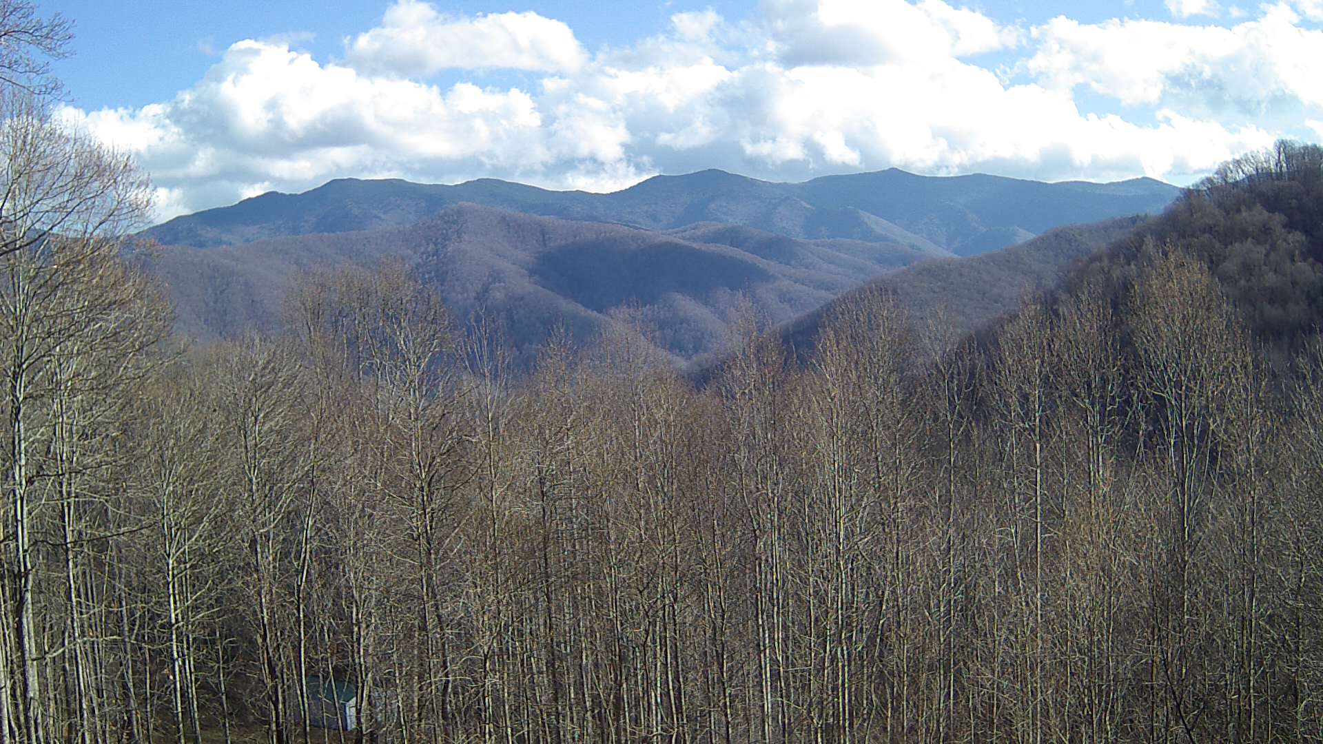 click for next image... slideshow image