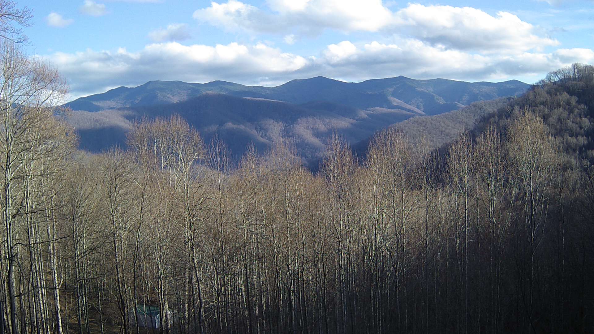 click for next image... slideshow image