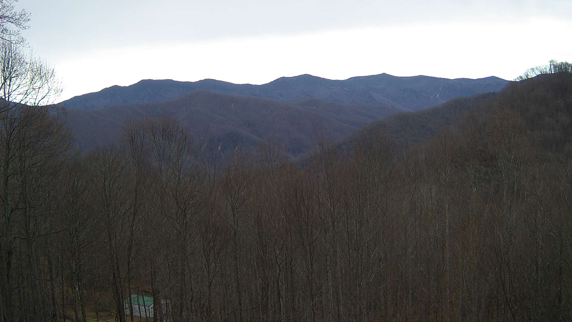 click for next image... slideshow image