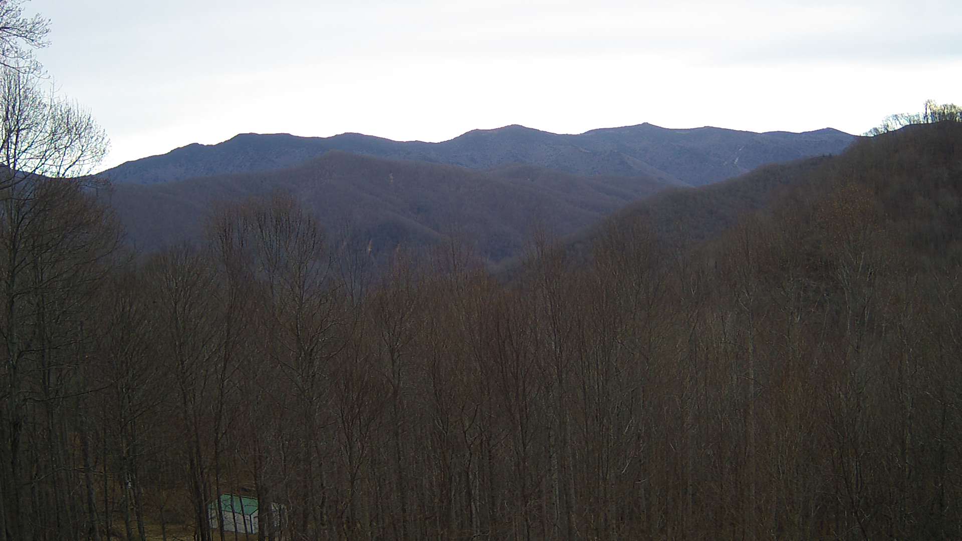 click for next image... slideshow image