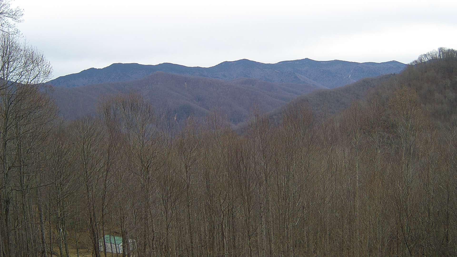 click for next image... slideshow image