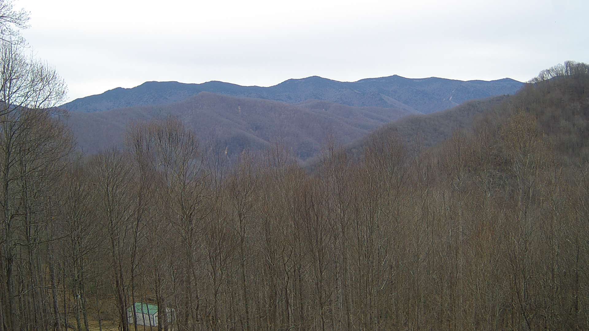 click for next image... slideshow image