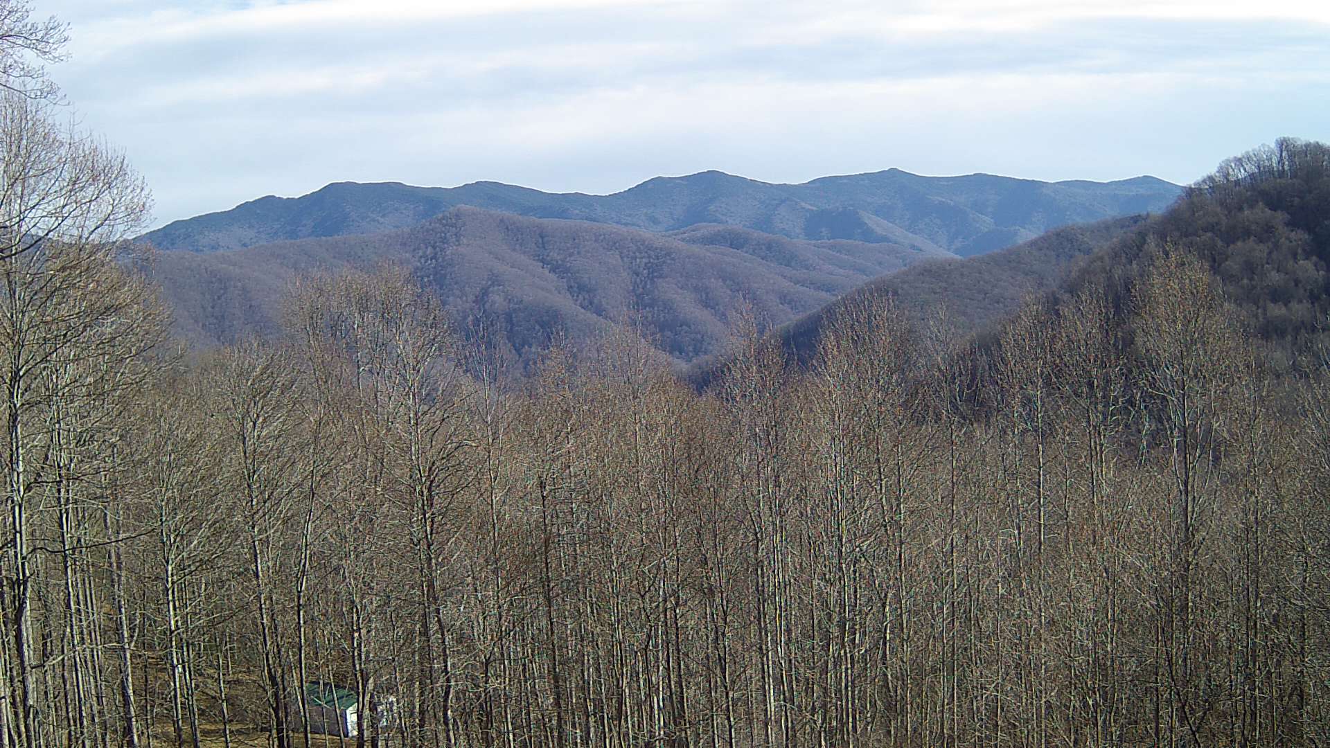 click for next image... slideshow image