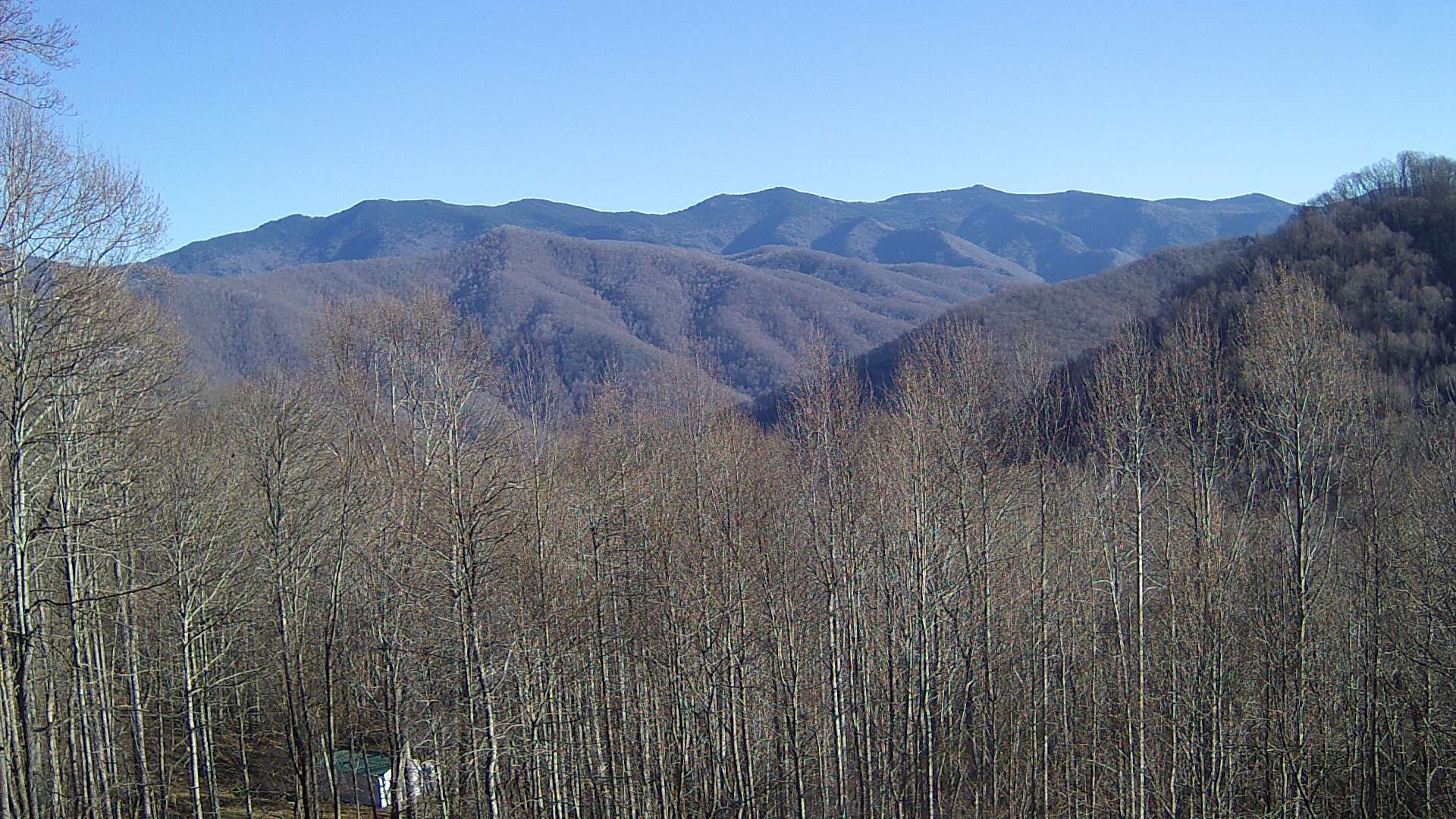 click for next image... slideshow image